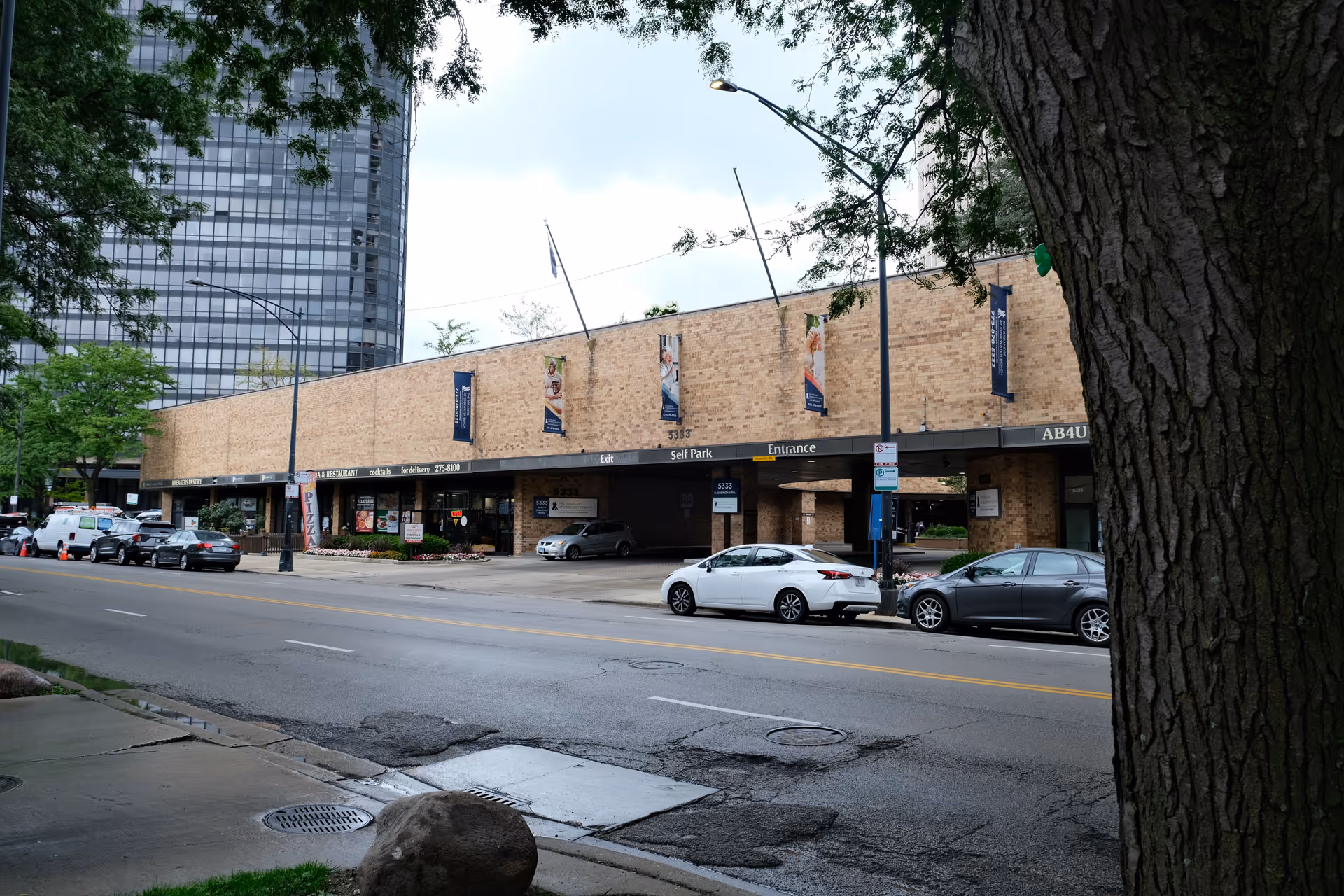 Street view of a low-rise brick commercial building with storefronts, a parking entrance, parked cars, and a large tree in the foreground.