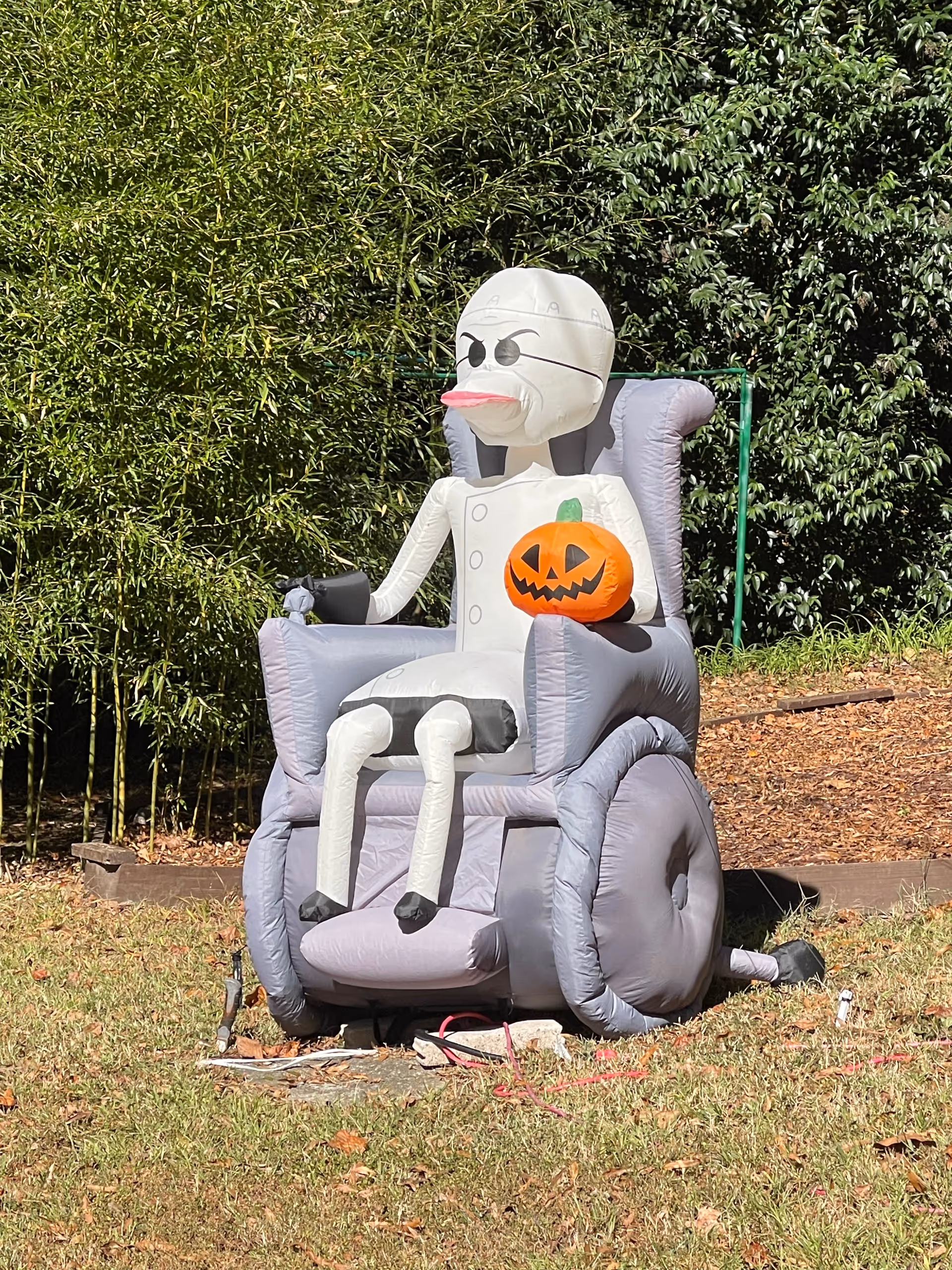Inflatable Halloween skeleton sits in a yard chair with a pumpkin, greenery in the background.
