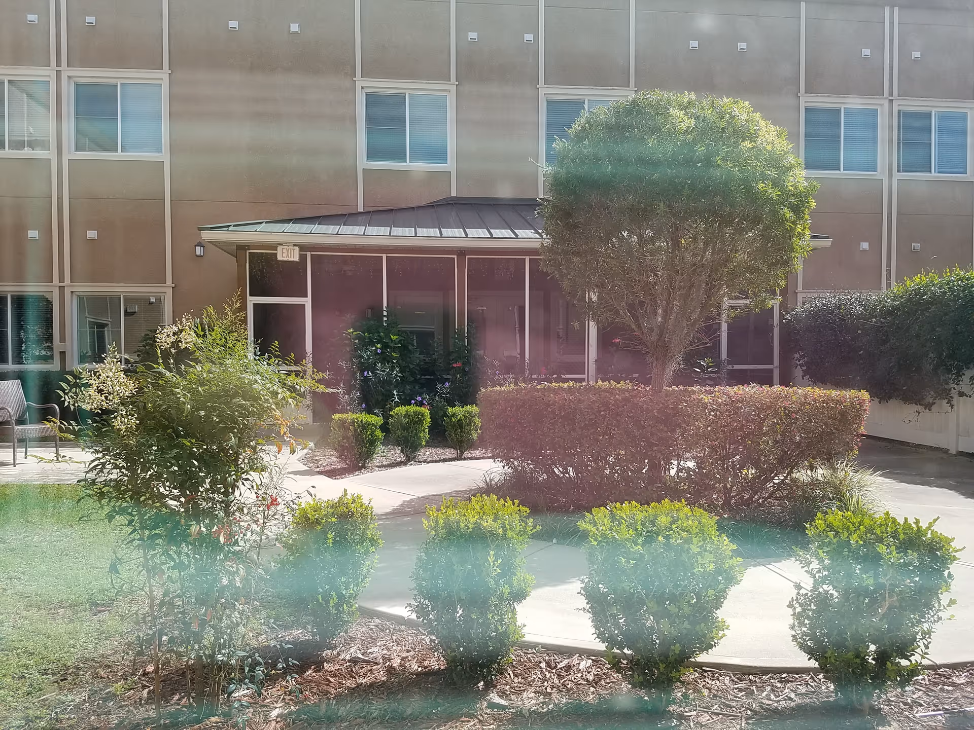Front exterior of Grand Villa of Ocala with entry doors, manicured shrubs, and a large tree.
