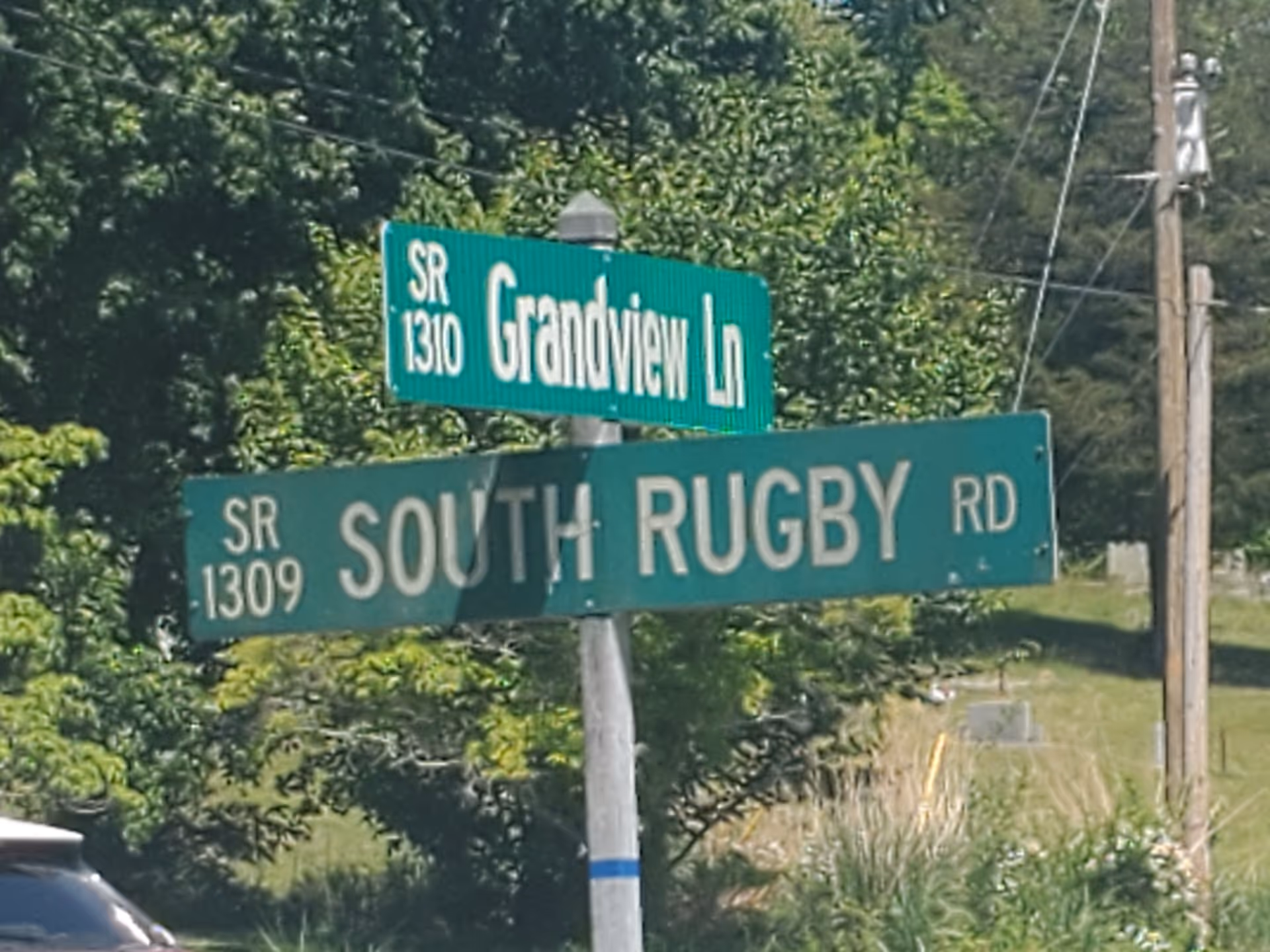 Green street signs read Grandview Ln and South Rugby Rd against a leafy backdrop.