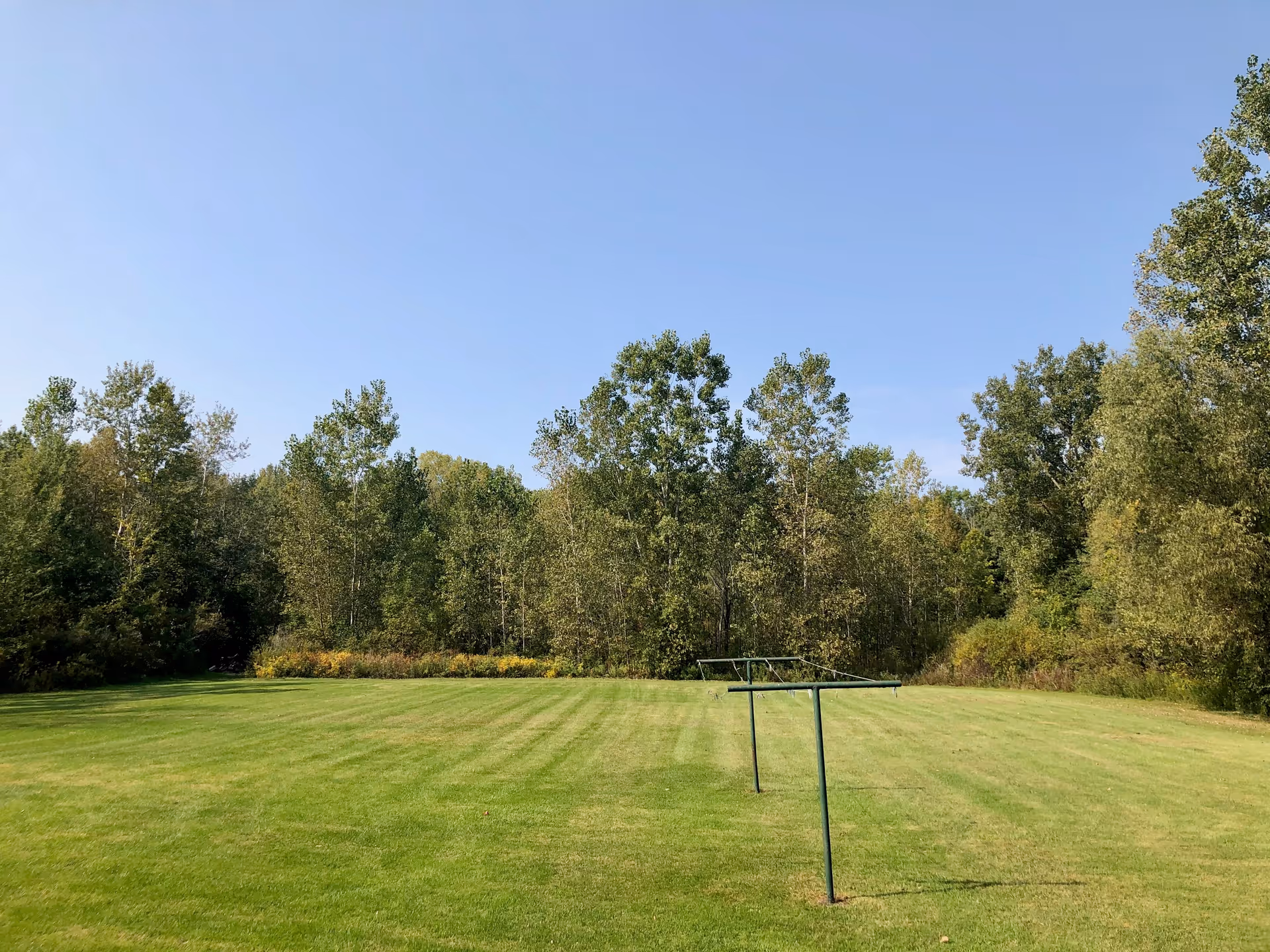 A large, well-maintained grassy field with a clothesline structure in the center. The field is bordered by dense green trees under a clear blue sky.