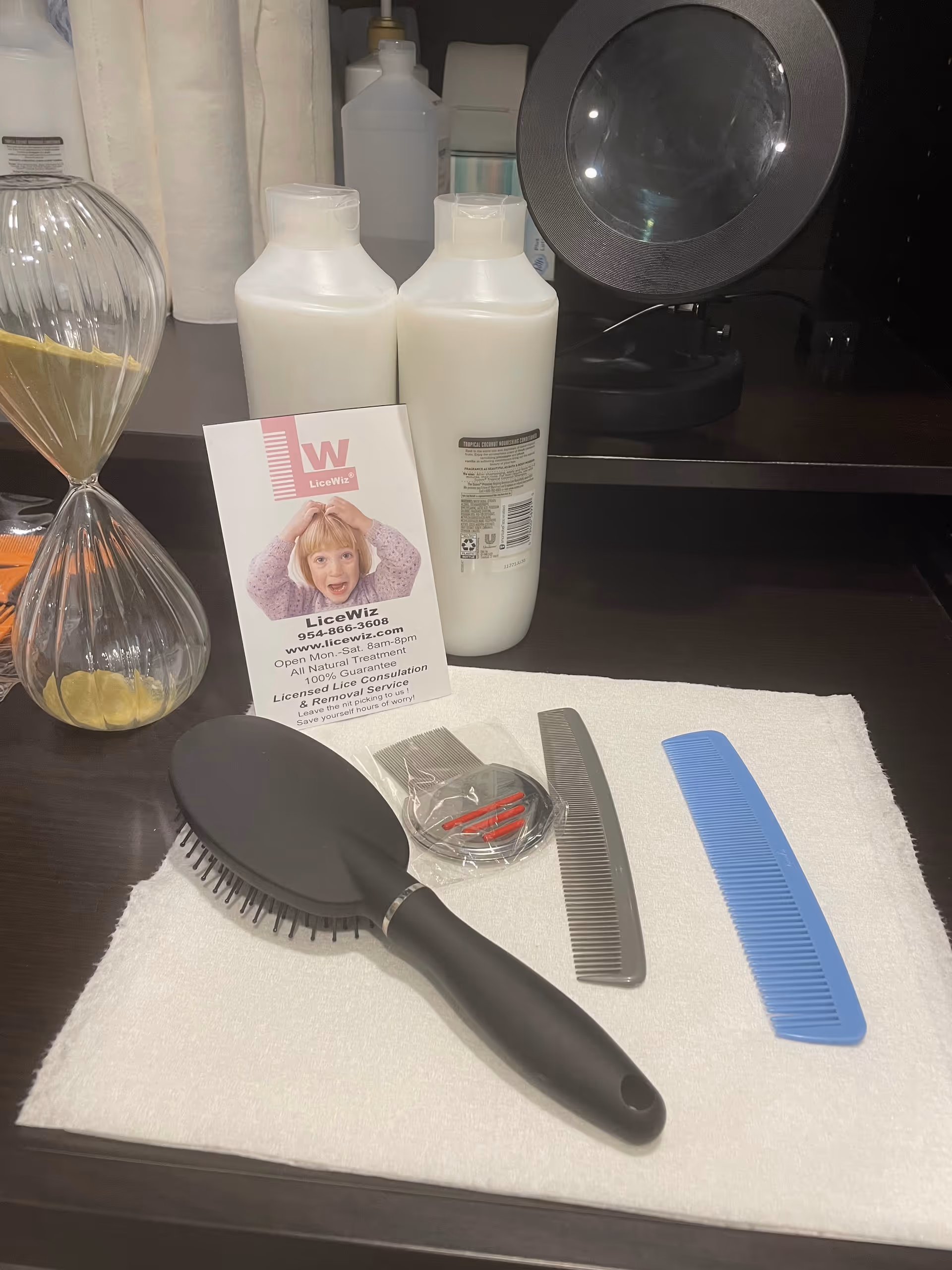 Grooming station with brushes, combs, bottles, and a LiceWiz card on a bathroom counter.
