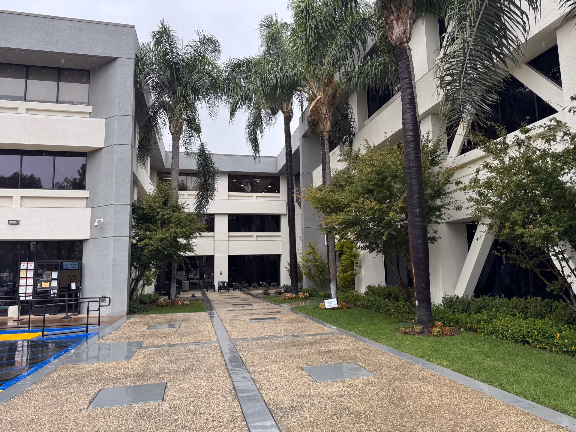 Exterior view of Visiting Angels Senior Home Care building with palm trees and a walkway.
