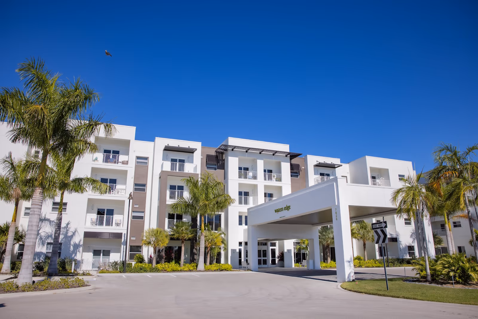 Exterior view of a modern, multi-story senior living facility named Amavida at Lakes Park with white and beige walls, balconies, palm trees, and a covered entrance under a clear blue sky.