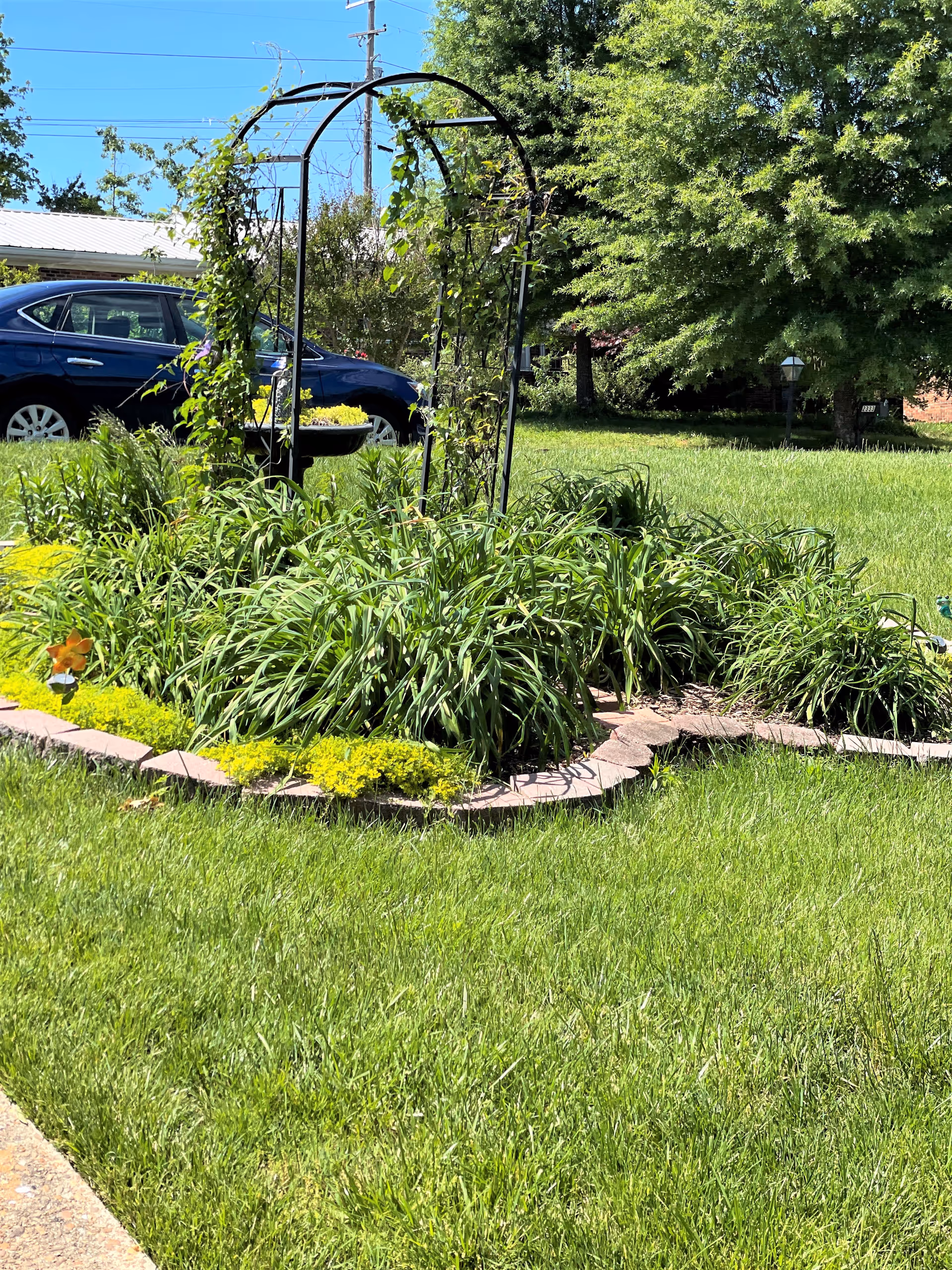 Metal garden arch over a landscaped flower bed in an outdoor area near a parked car.