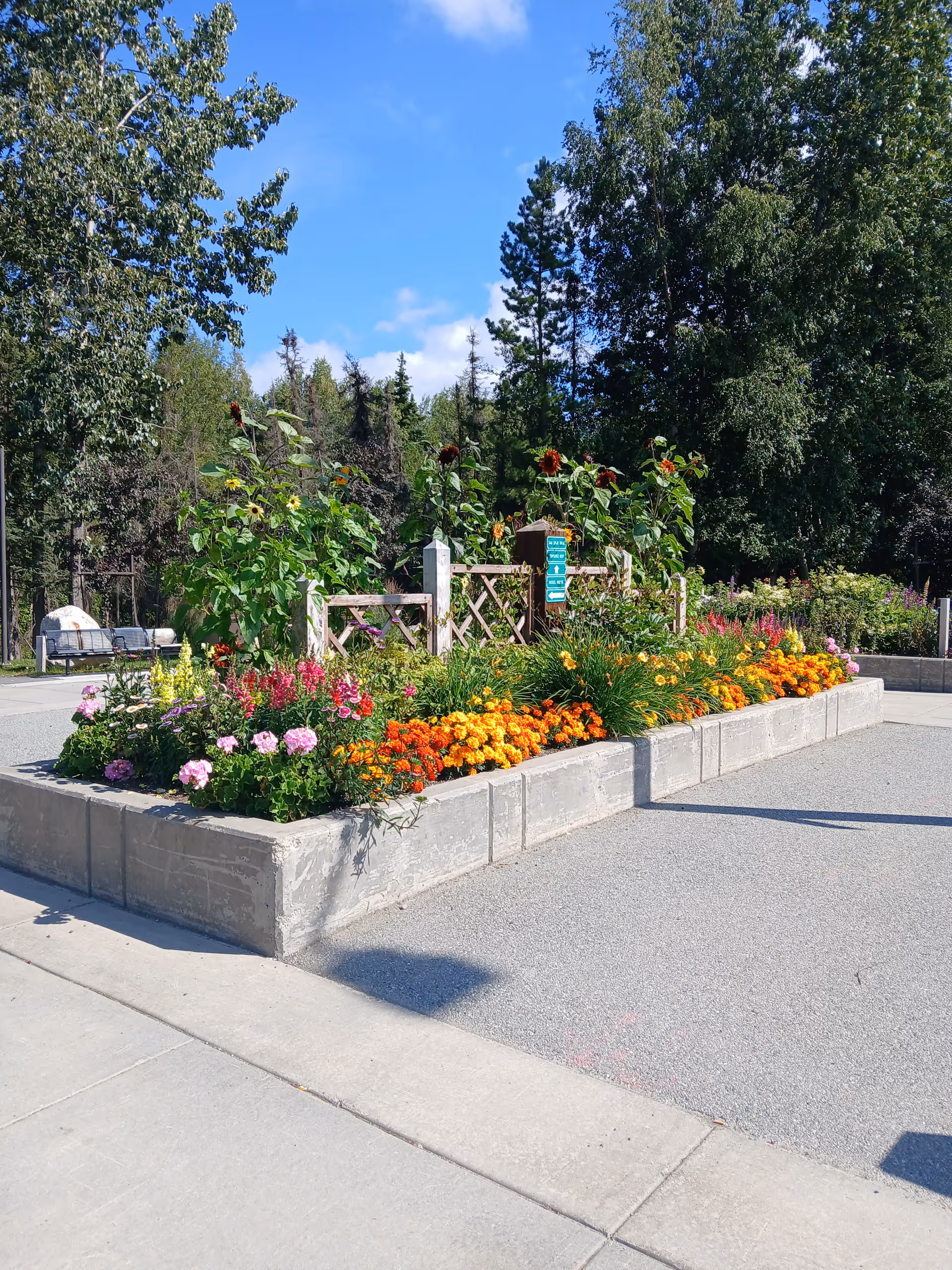 Outdoor courtyard with colorful flowers, raised planters, and surrounding trees.