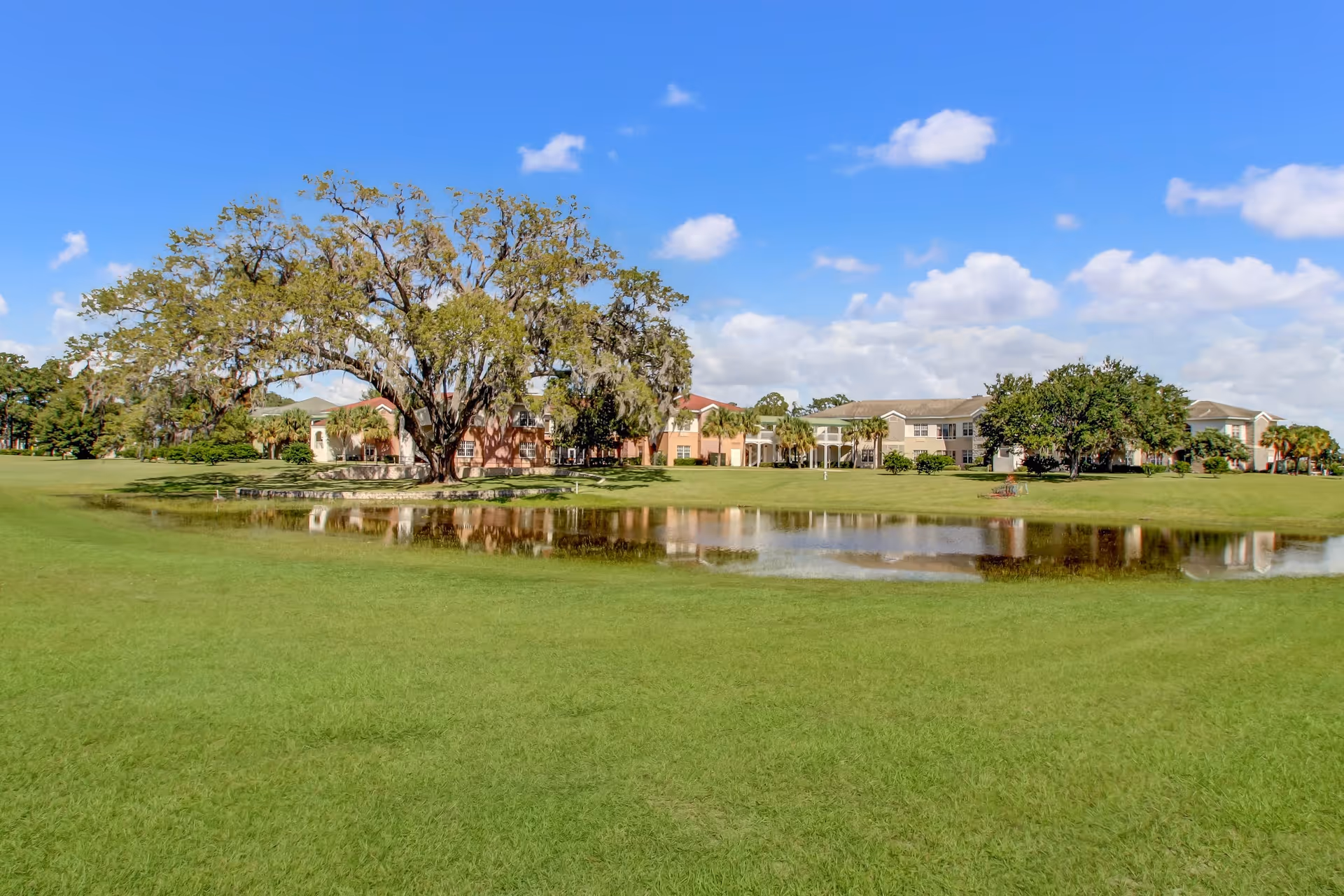 Grassy lawn and pond in front of a low-rise residential building with large oak trees under a blue sky.