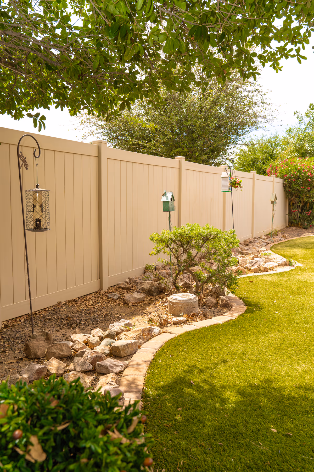 Residential backyard with a beige fence, rocks, shrubs, and a manicured lawn.