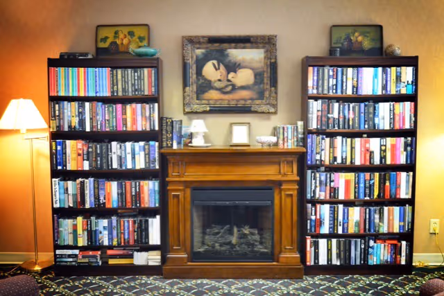 A cozy interior scene featuring a wooden electric fireplace centered between two tall bookshelves filled with books. A floor lamp with a white shade stands to the left, and above the fireplace hangs a framed painting of two birds. The room has warm lighting and a patterned carpet.
