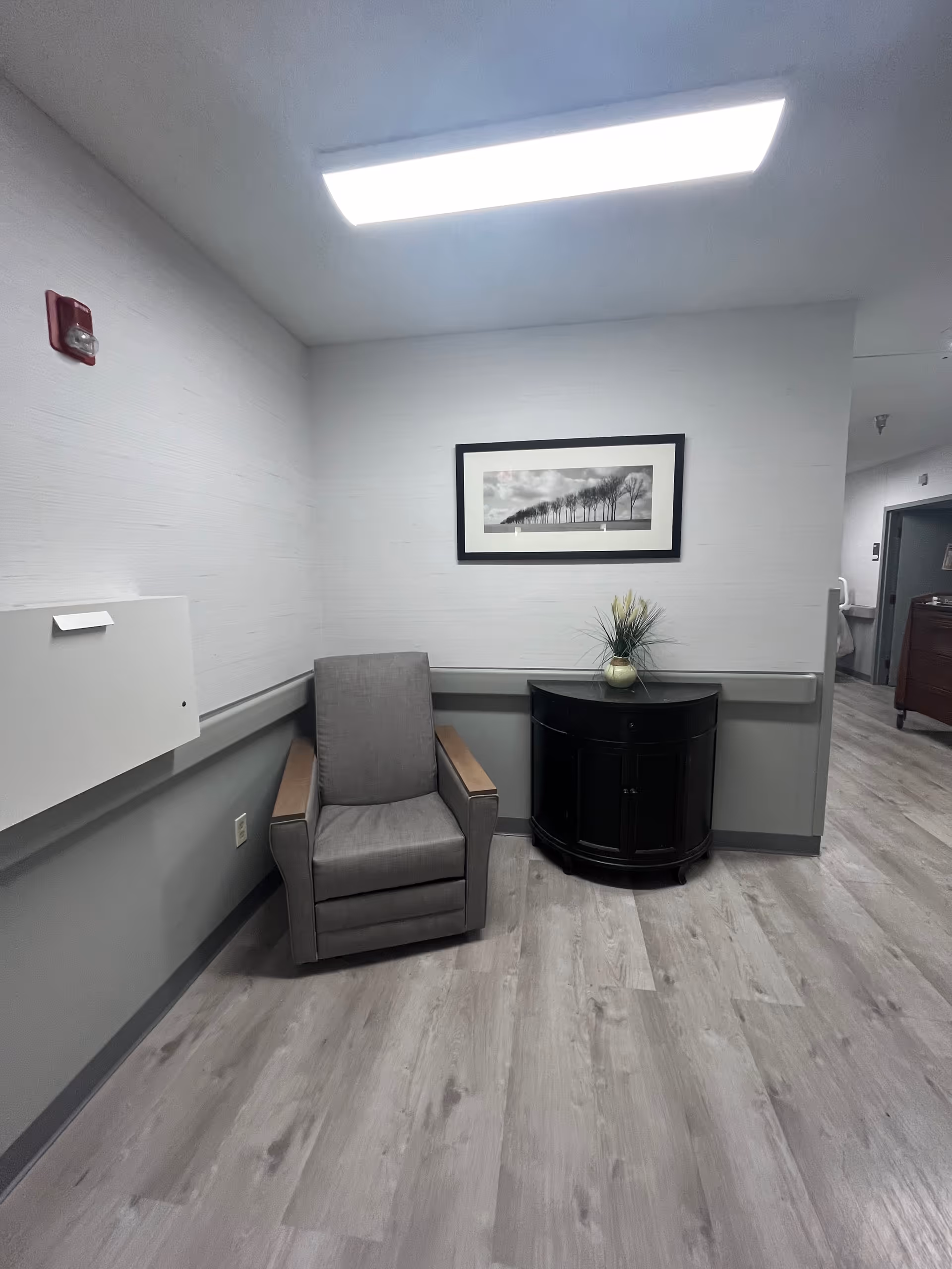 Gray armchair beside a curved black cabinet with a plant and framed art in a hallway.