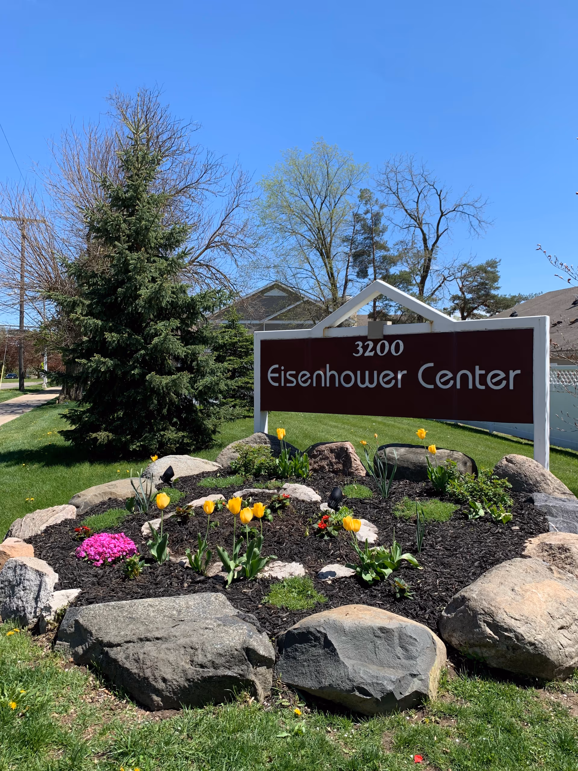 A landscaped bed of yellow tulips surrounds the Eisenhower Center sign.