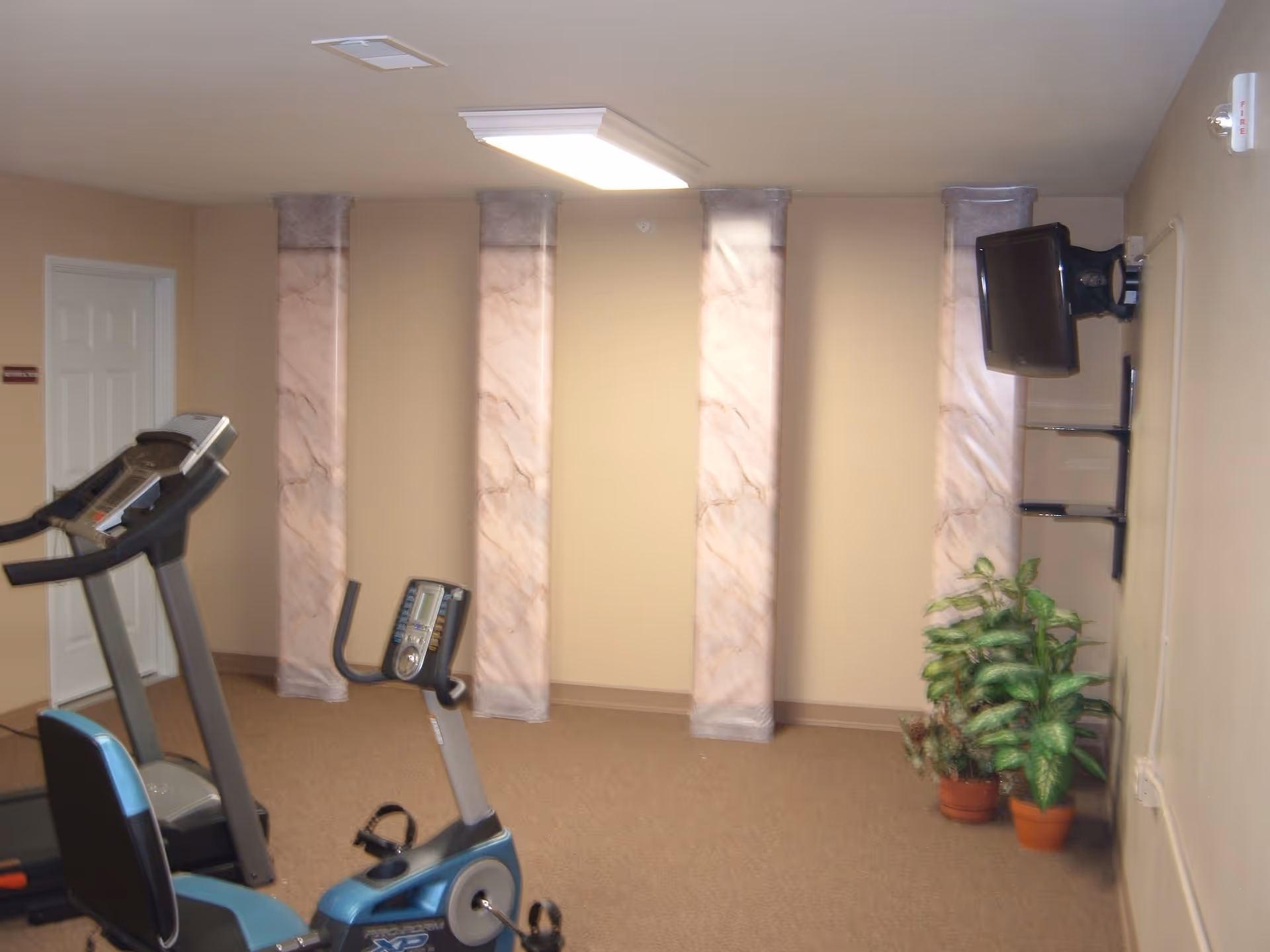 Small fitness room with a treadmill and stationary bike, a wall-mounted TV, decorative columns, and potted plants.