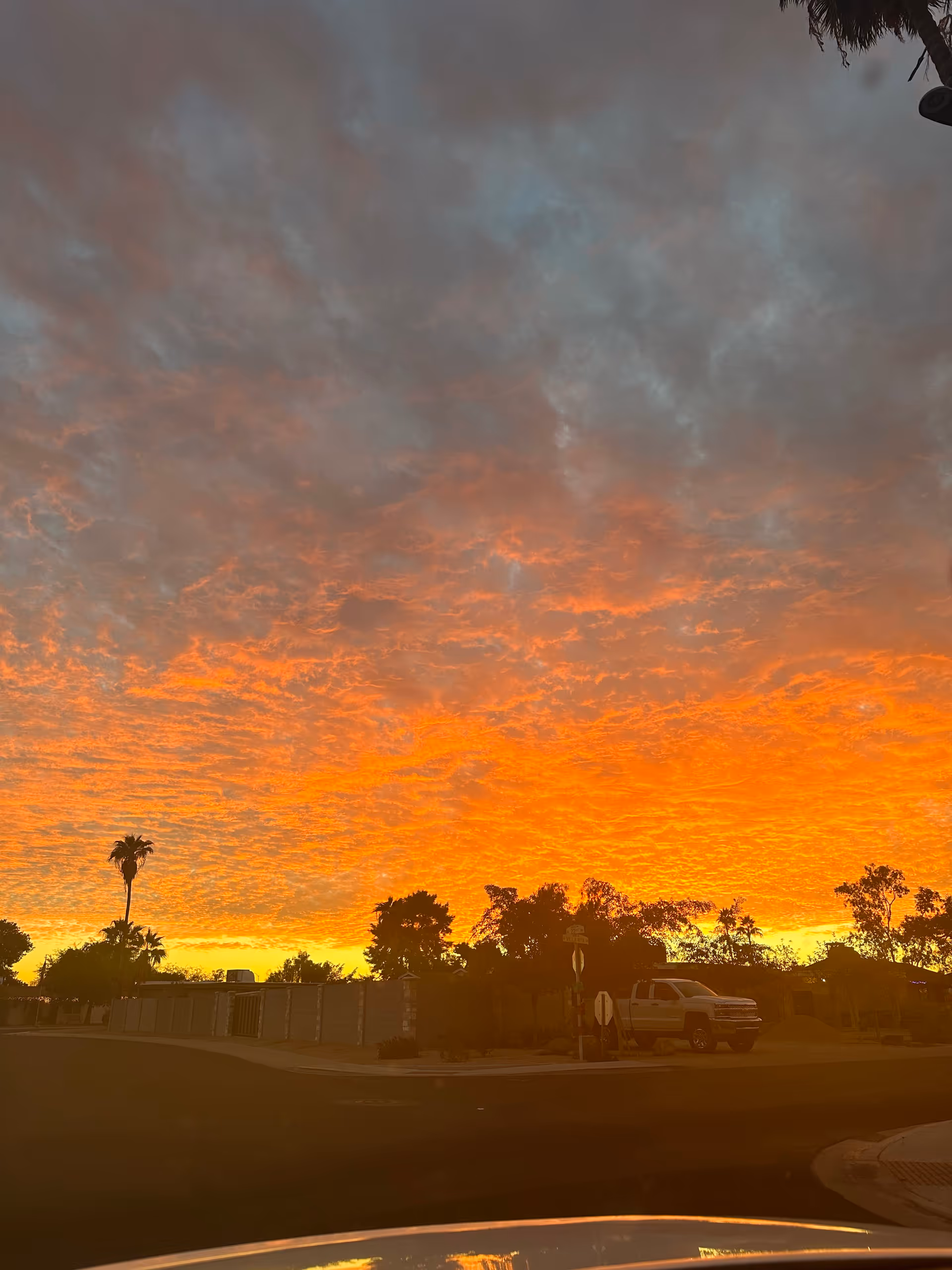Sunset sky above a gated senior care facility exterior with palm trees and a parked van.