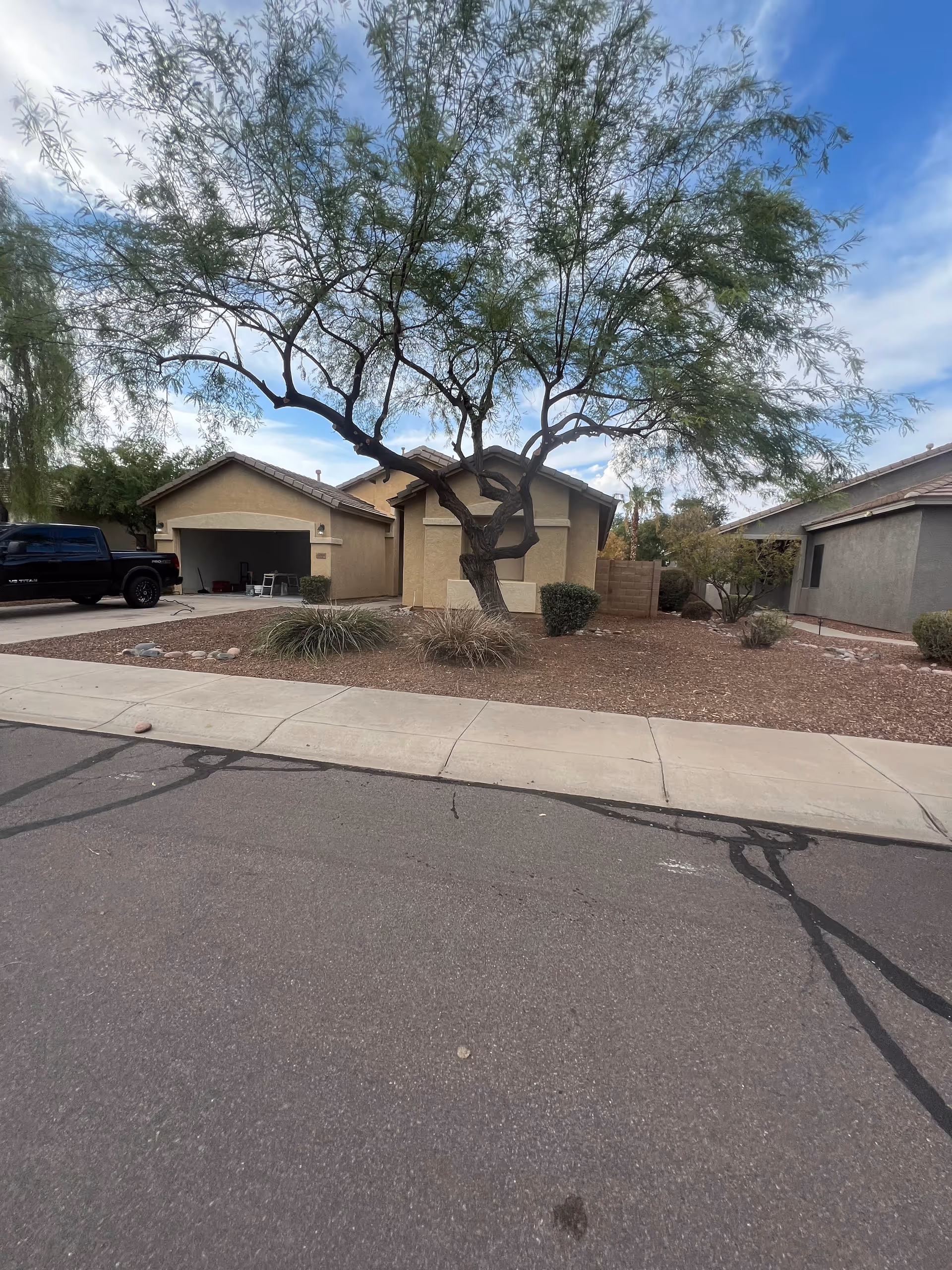 A single-story beige assisted living building with a large tree and desert landscaping.