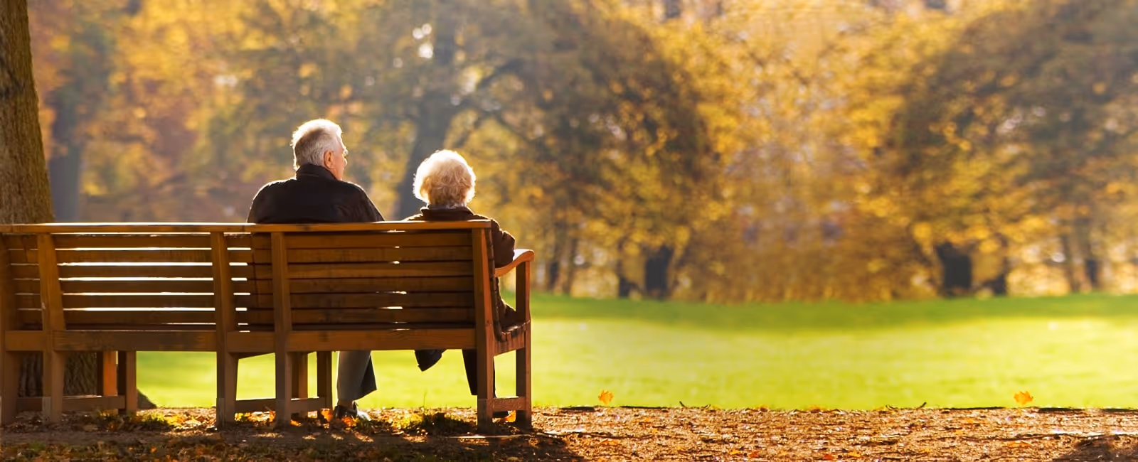 Two elderly individuals sit on a wooden bench in a sunlit autumn park.