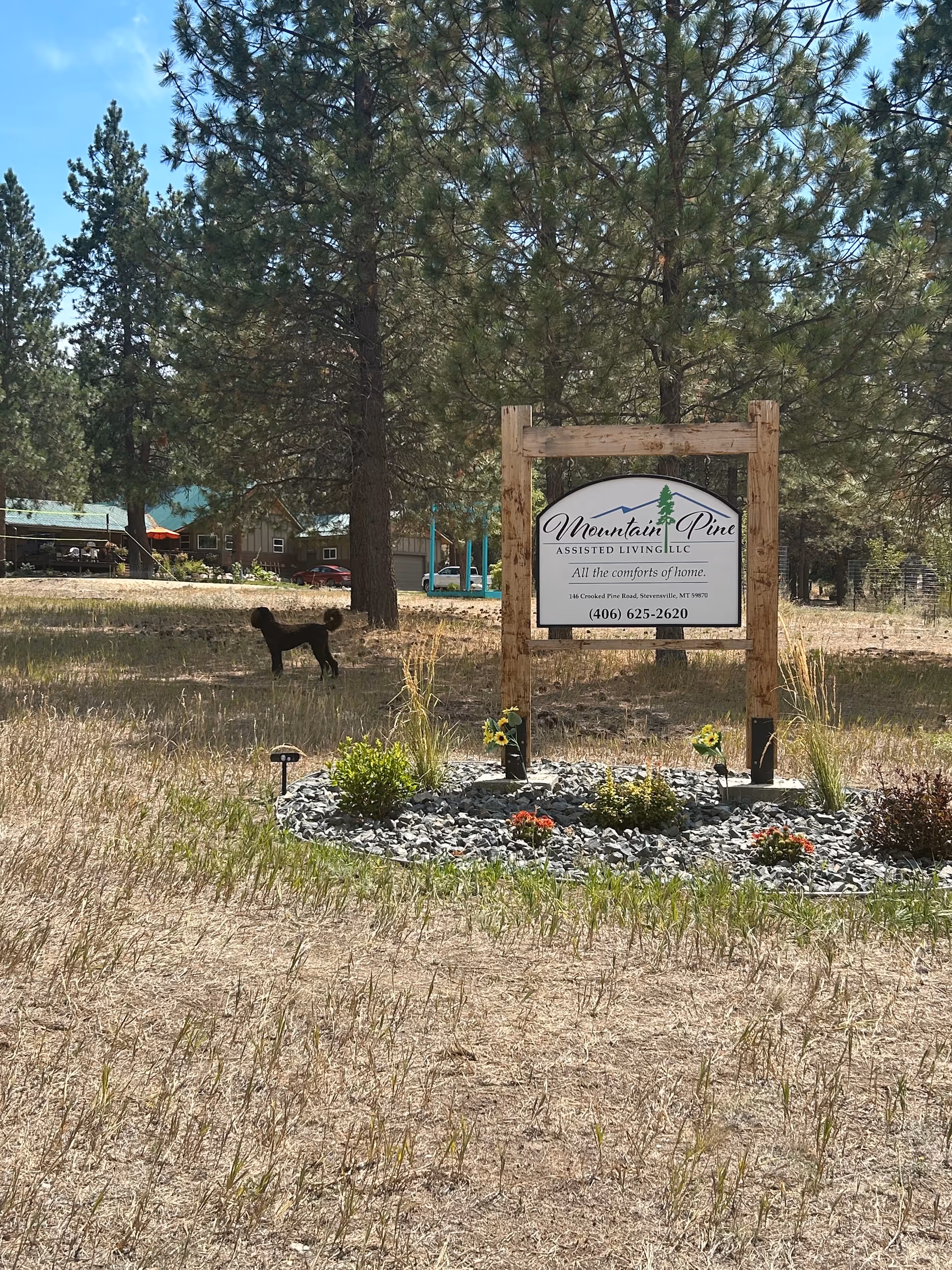 Outdoor grounds with Mountain Pine Assisted Living sign, trees, and a landscaped flower bed.