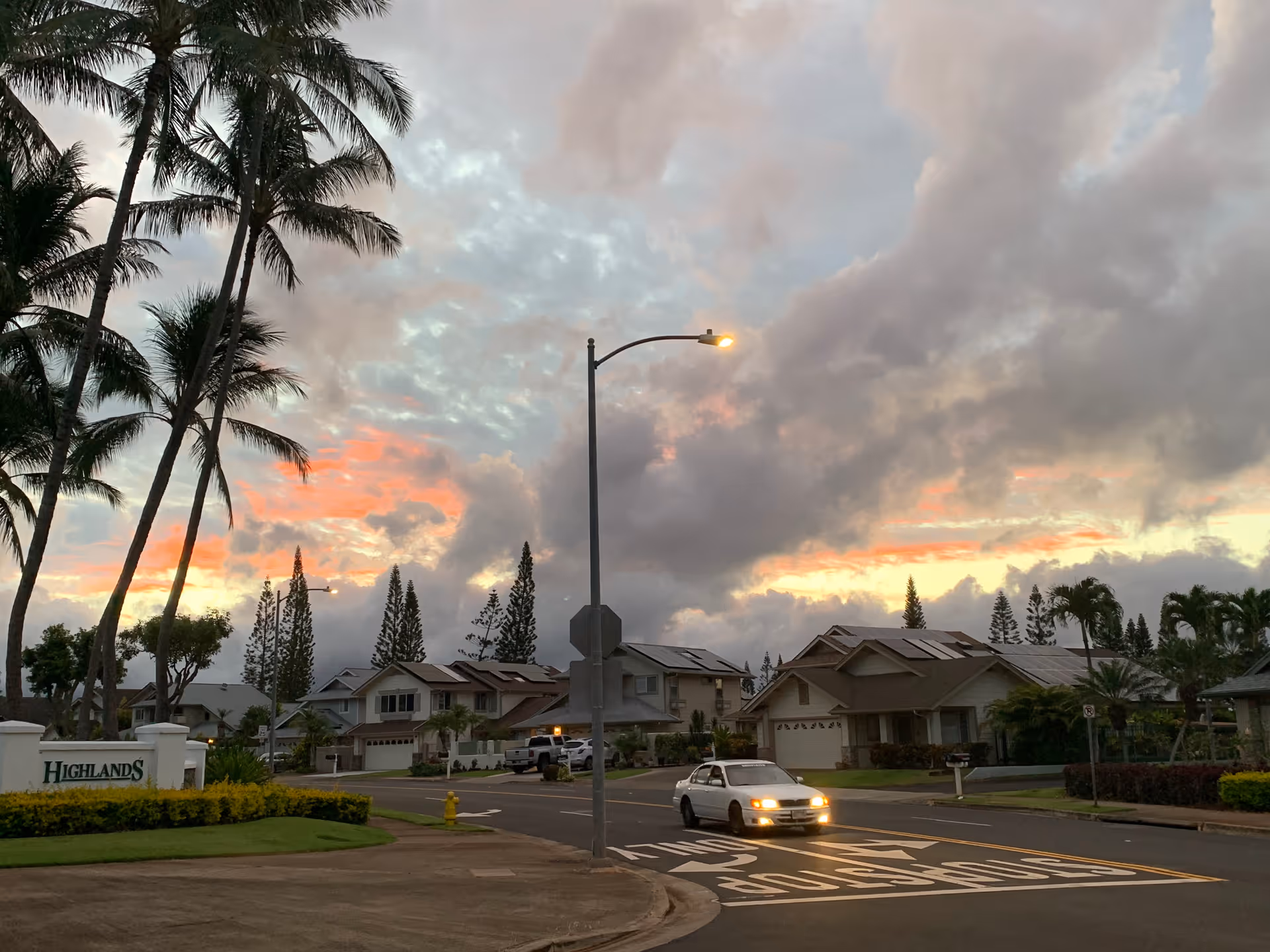 Exterior street view of a suburban neighborhood with palm trees and a streetlamp at dusk