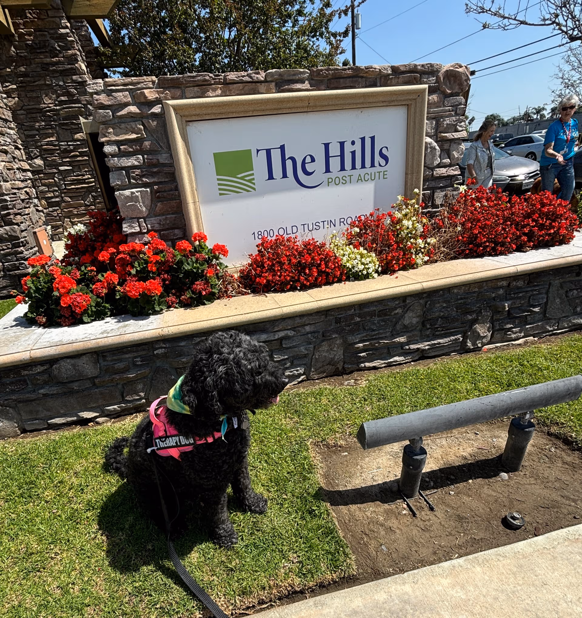 The Hills Post Acute exterior sign with red flowers, stone wall, and a dog in foreground