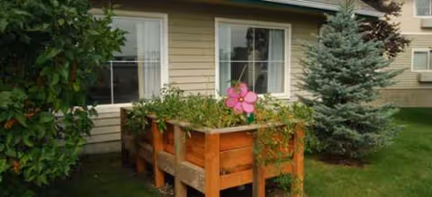 Exterior view of Brookdale Meadow Springs featuring wooden planters and surrounding greenery.