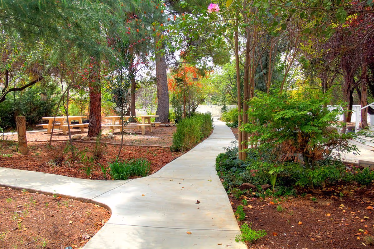 Concrete path winding through a shaded garden with trees and picnic tables.