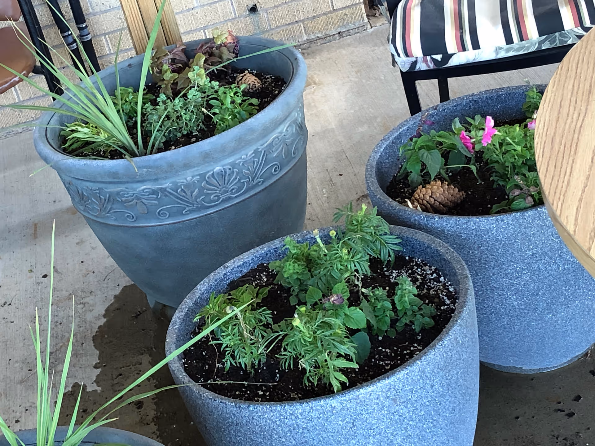 Three decorative planters with green plants on a concrete outdoor patio near striped chair.