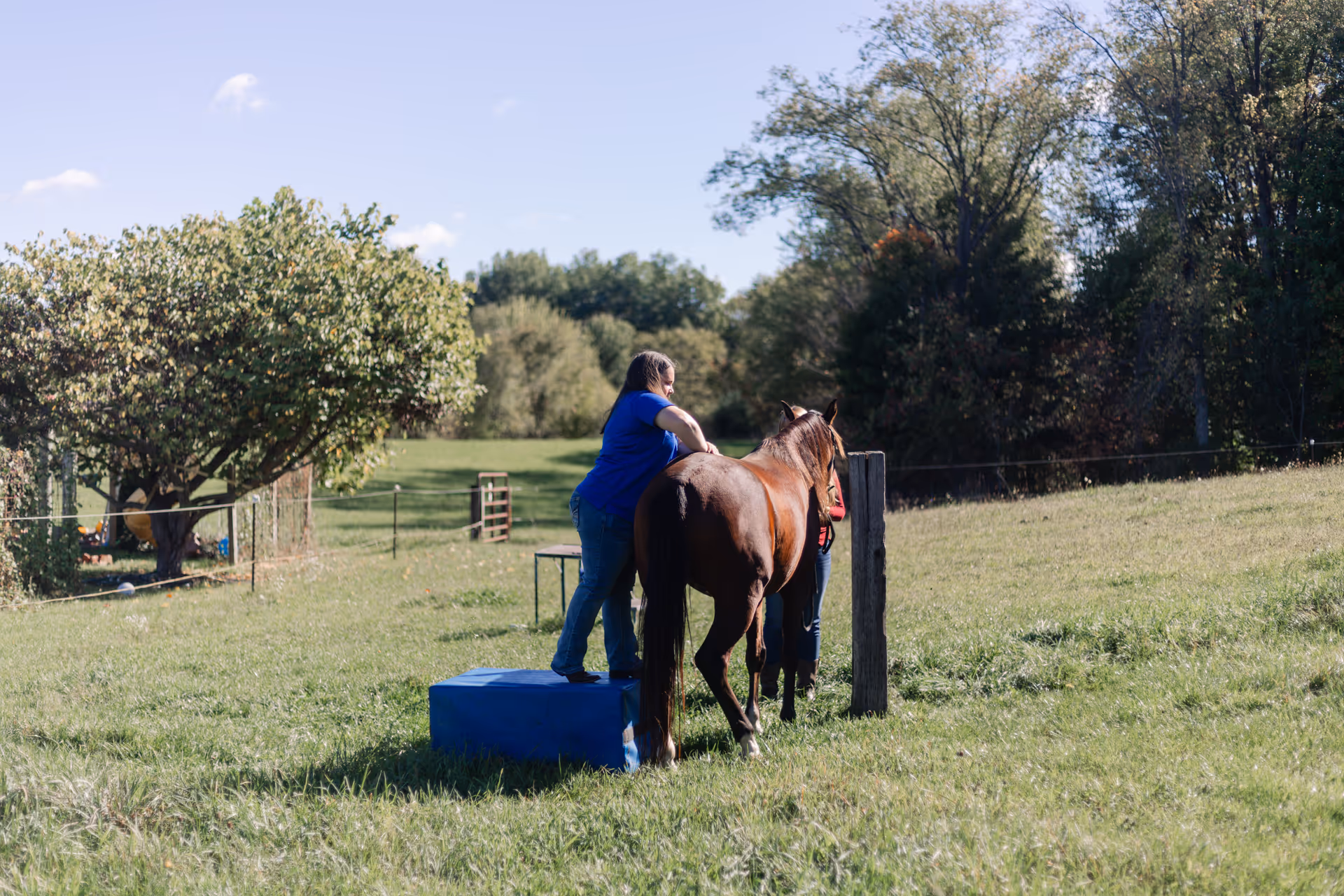Two people with a horse on a blue platform in a sunny grassy outdoor field