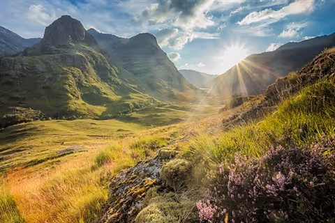 Sunlit mountain valley with green slopes, rugged rocks, and blooming purple heather under blue sky.