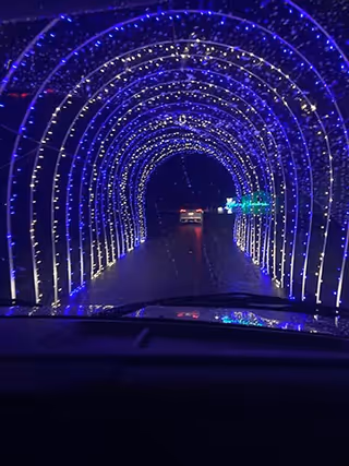 View from inside a vehicle driving through a tunnel of blue and white holiday lights at night, with another vehicle visible ahead on the road.