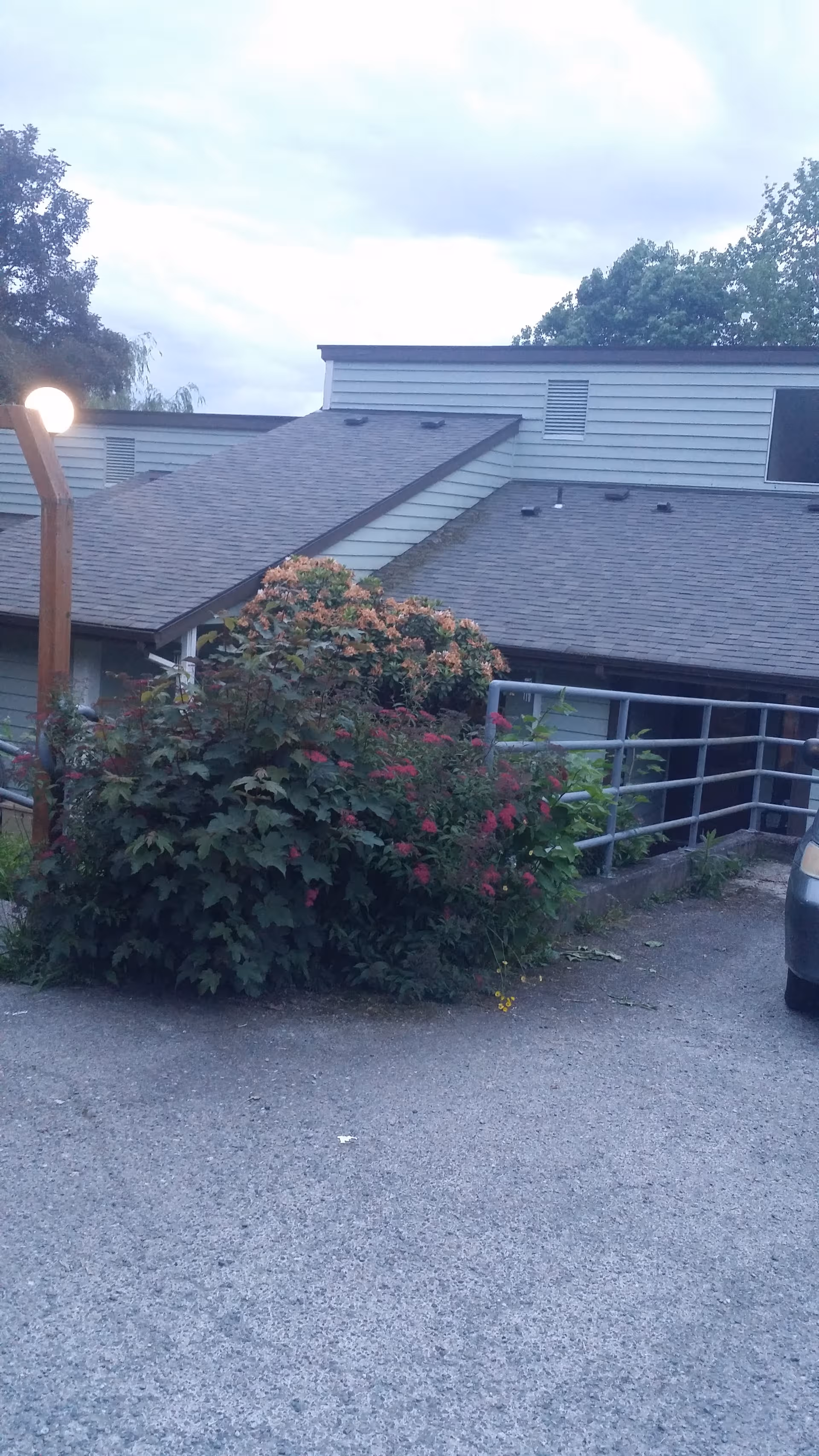 Exterior view of a low-rise facility with a railing, parked car, and flowering shrubs.