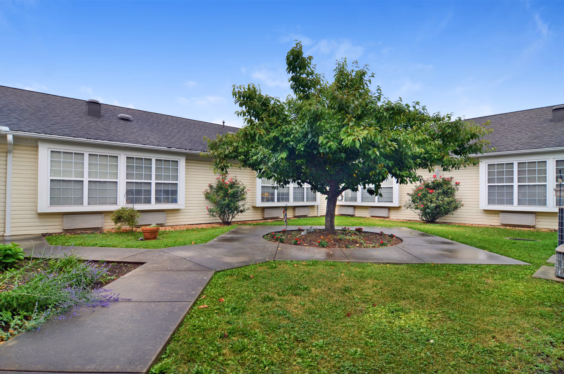 Central courtyard of Celebration Villa Shippensburg with a tree, circular bed, and surrounding walkway.