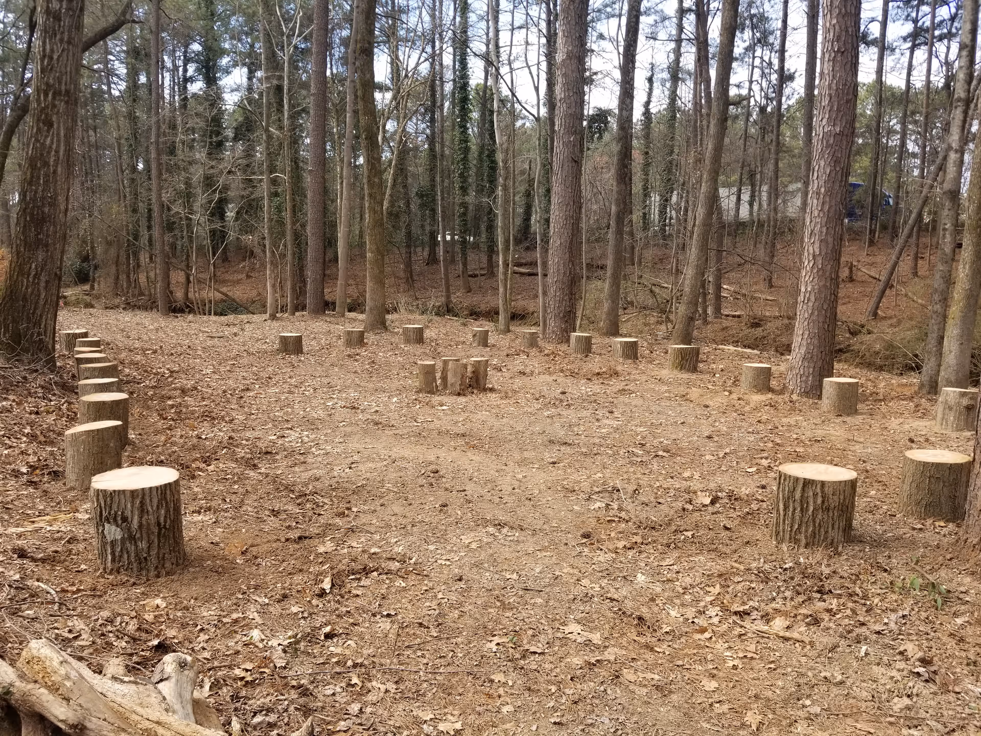 Outdoor woodland area with numerous tree stumps arranged as seating.