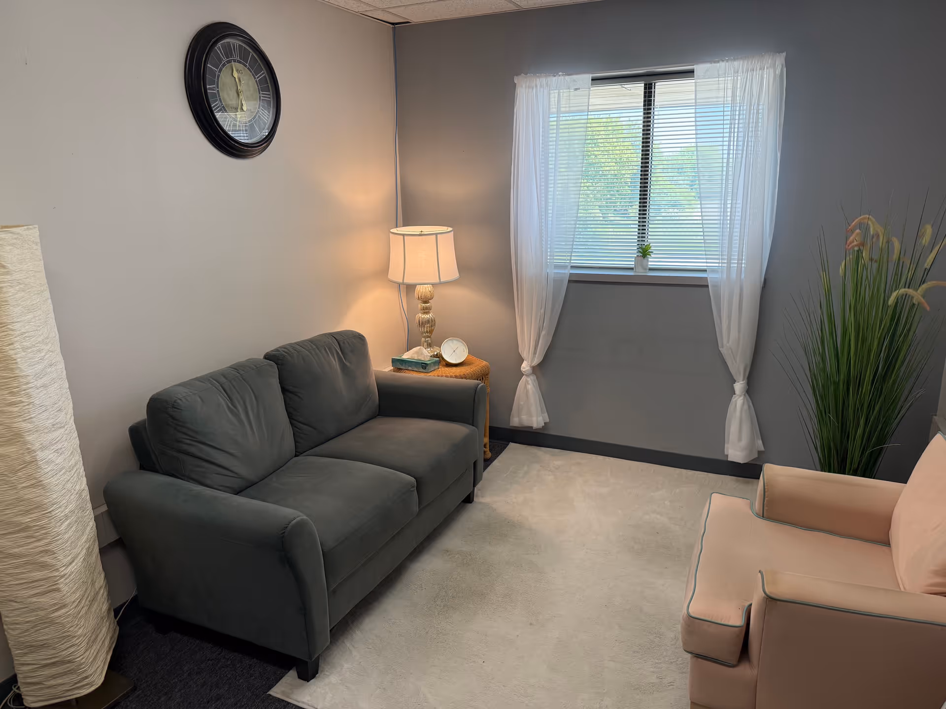 Cozy living room with a gray sofa, pink chair, lamp, window, and plant.
