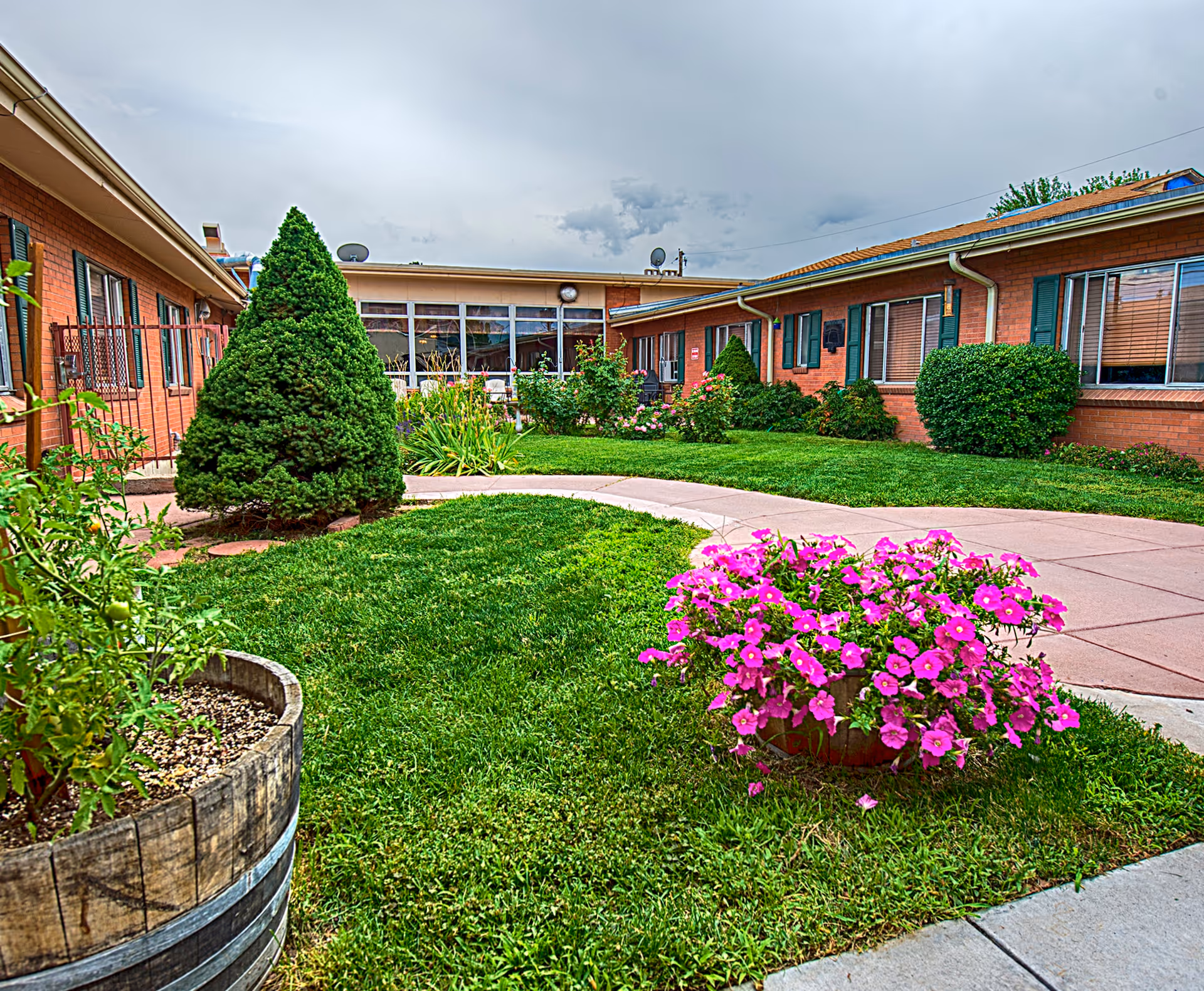 Outdoor courtyard area of a senior living facility with green grass, a curved concrete walkway, a wooden barrel planter with tomato plants, a bushy conical evergreen tree, and a flower bed with vibrant pink flowers. The building surrounding the courtyard is made of red brick with green window shutters and several windows.
