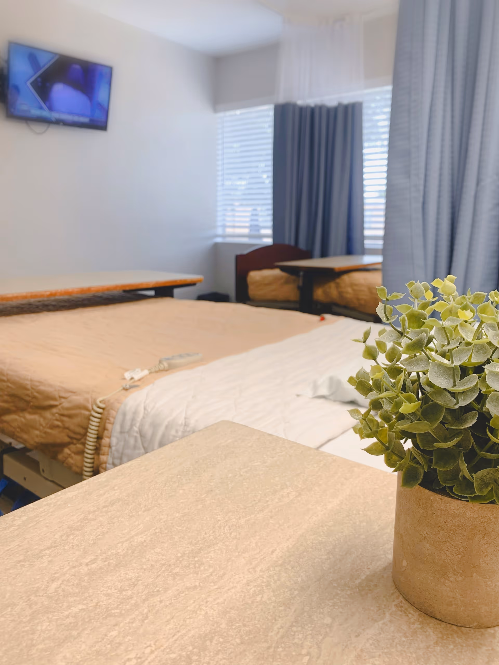 Patient bedroom in a senior facility with a bed, TV, curtains, and a potted plant.