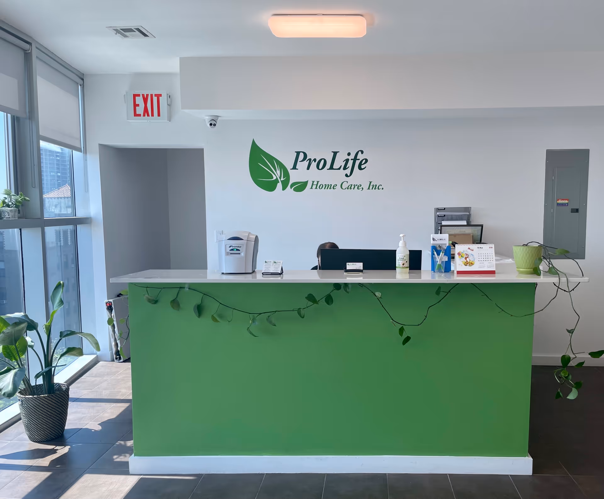 Reception desk with green front, ProLife logo, plants, and large corner windows.
