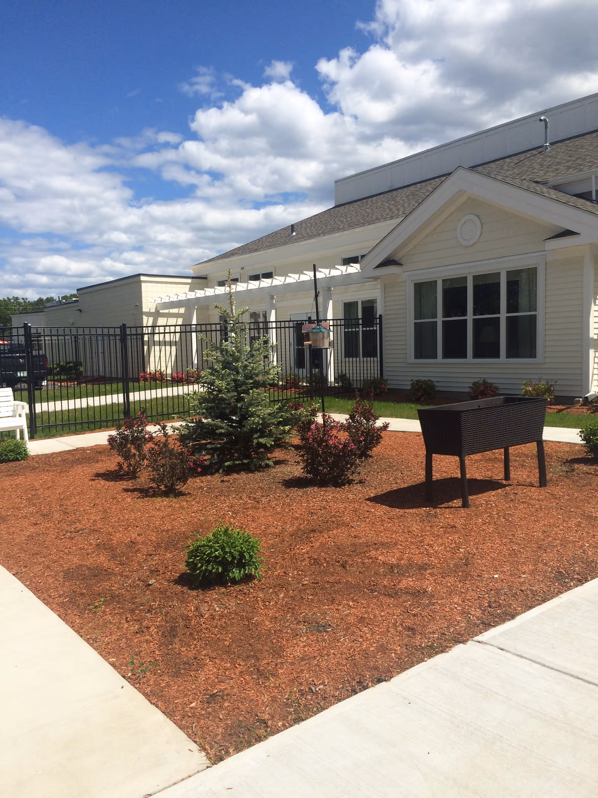 Outdoor garden area at Sunny Acres Legacy Care featuring a small evergreen tree surrounded by mulch and various shrubs, a black metal planter, a white building with large windows, a black metal fence, and a partly cloudy blue sky.