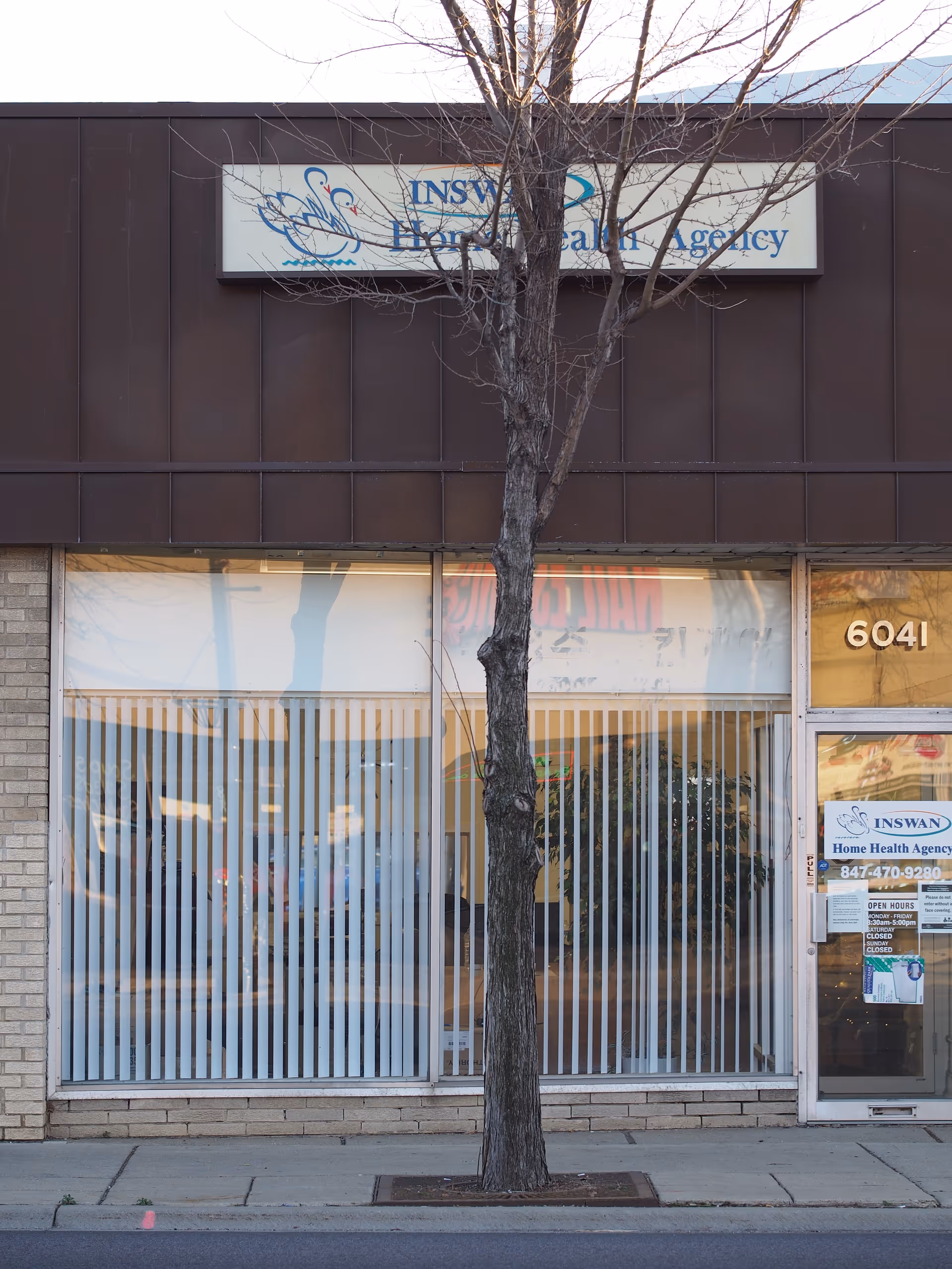 Exterior storefront of Inswan Health Care, Ltd with a tree in front and large windows.