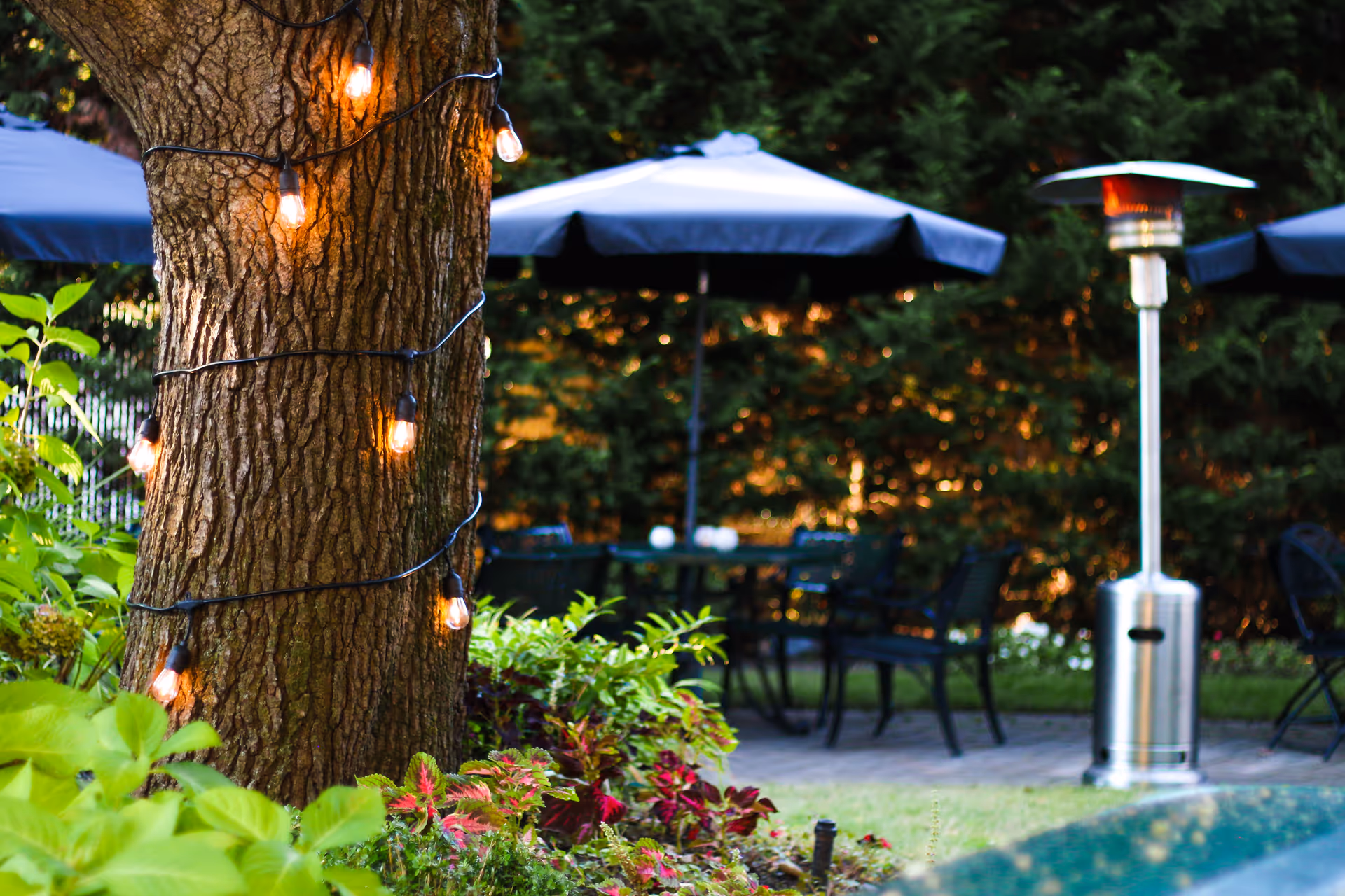Tree wrapped with string lights near outdoor patio tables under umbrellas.