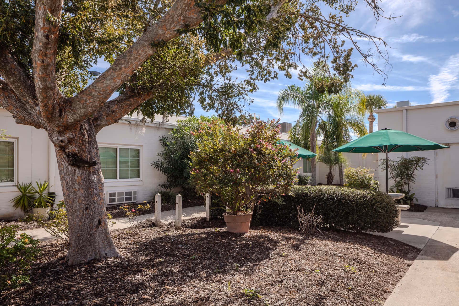 Sunny outdoor courtyard at Senior Care Center Brunswick with trees, shrubs, and umbrellas.