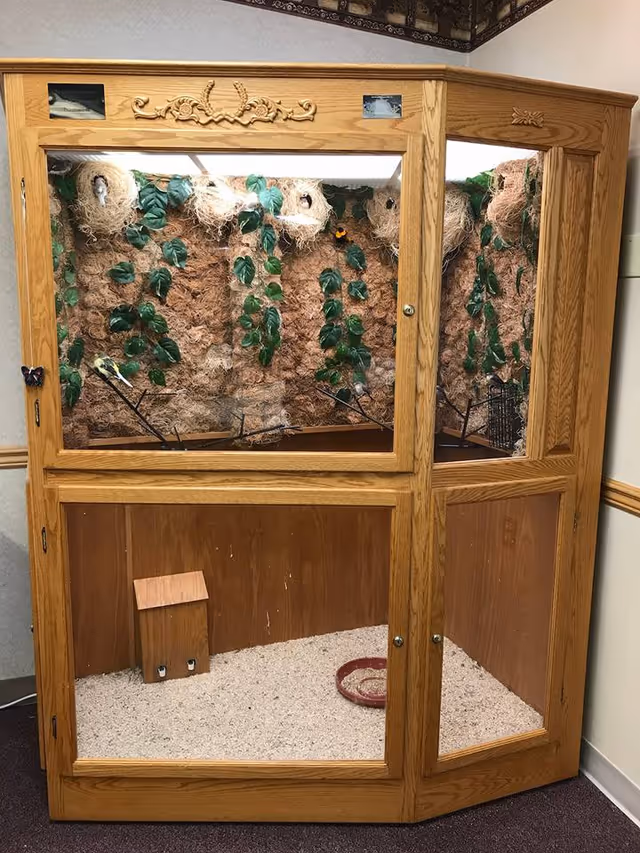 A large wooden bird enclosure with glass panels on the front and sides. Inside, there are several bird nests attached to the back wall, artificial green leaves hanging down, and a few small birds perched on branches. The bottom of the enclosure is covered with bedding material, and there is a small wooden birdhouse and a red circular dish inside.
