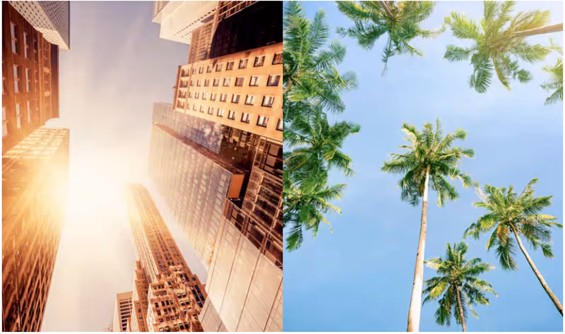 Two vertical scenes: towering skyscrapers on left and palm trees under blue sky on right.