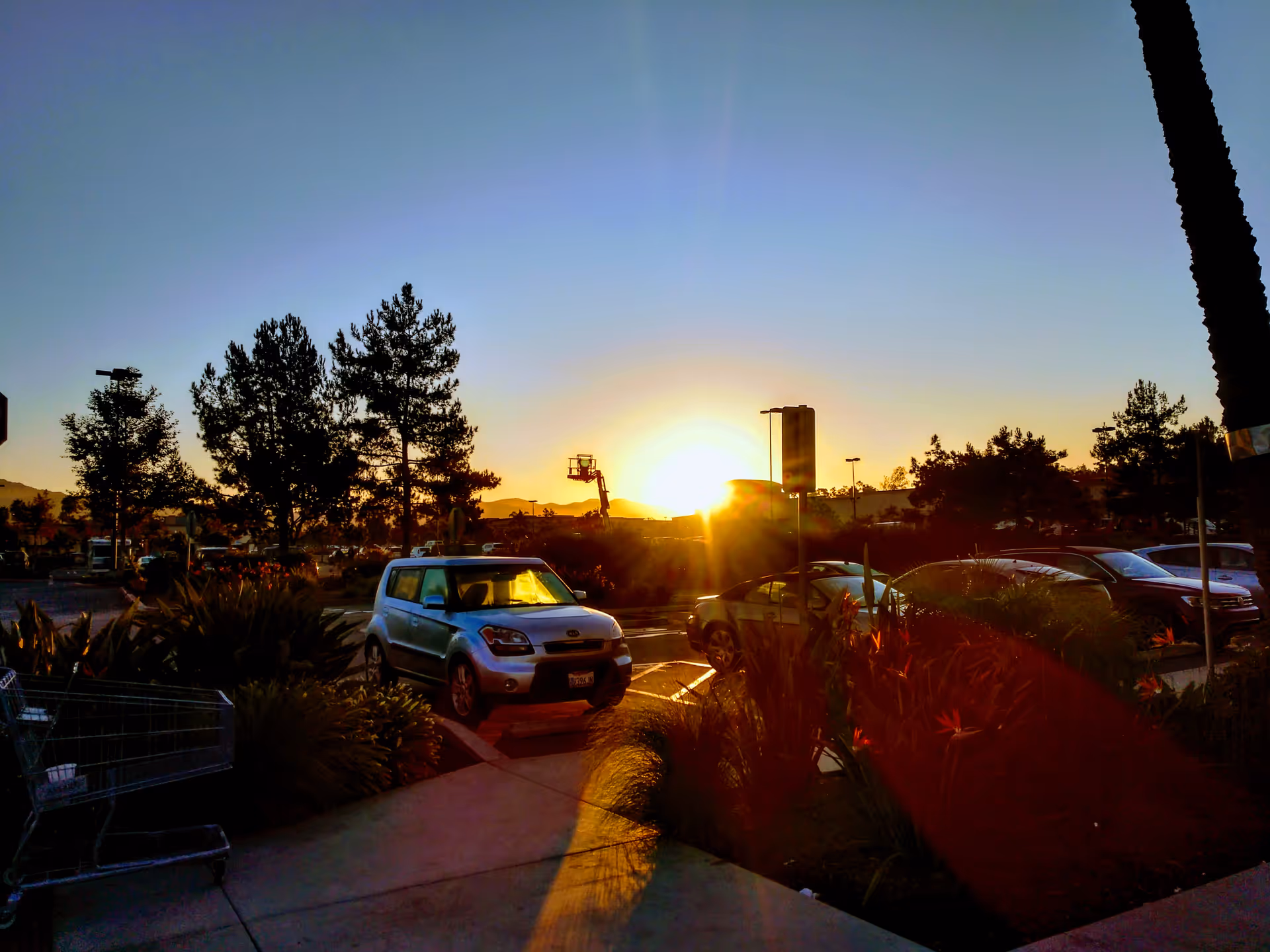 Sunset over a parking lot with cars and landscaping outside a senior living facility.