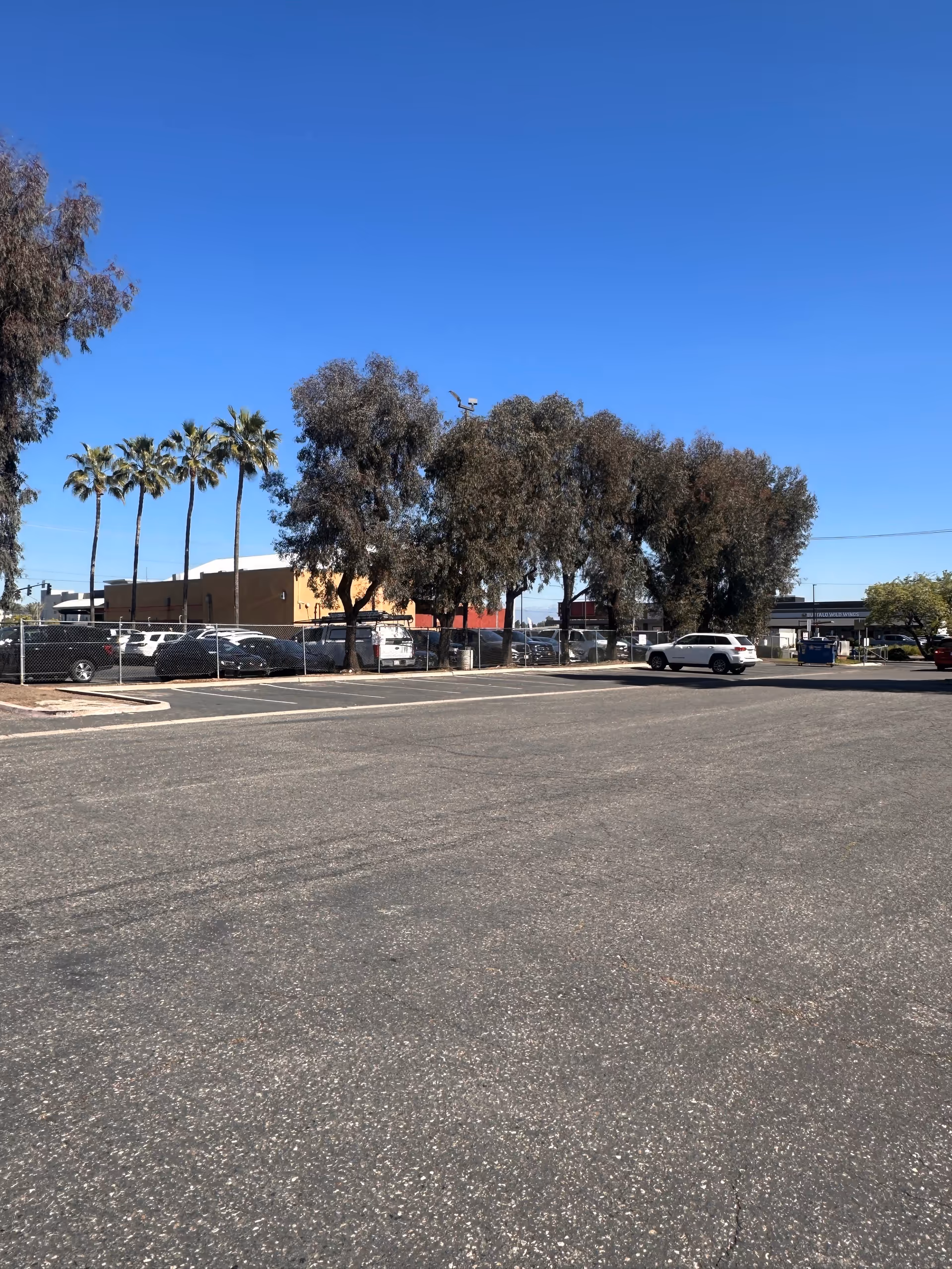 Outdoor parking lot with palm trees and parked cars near the facility.