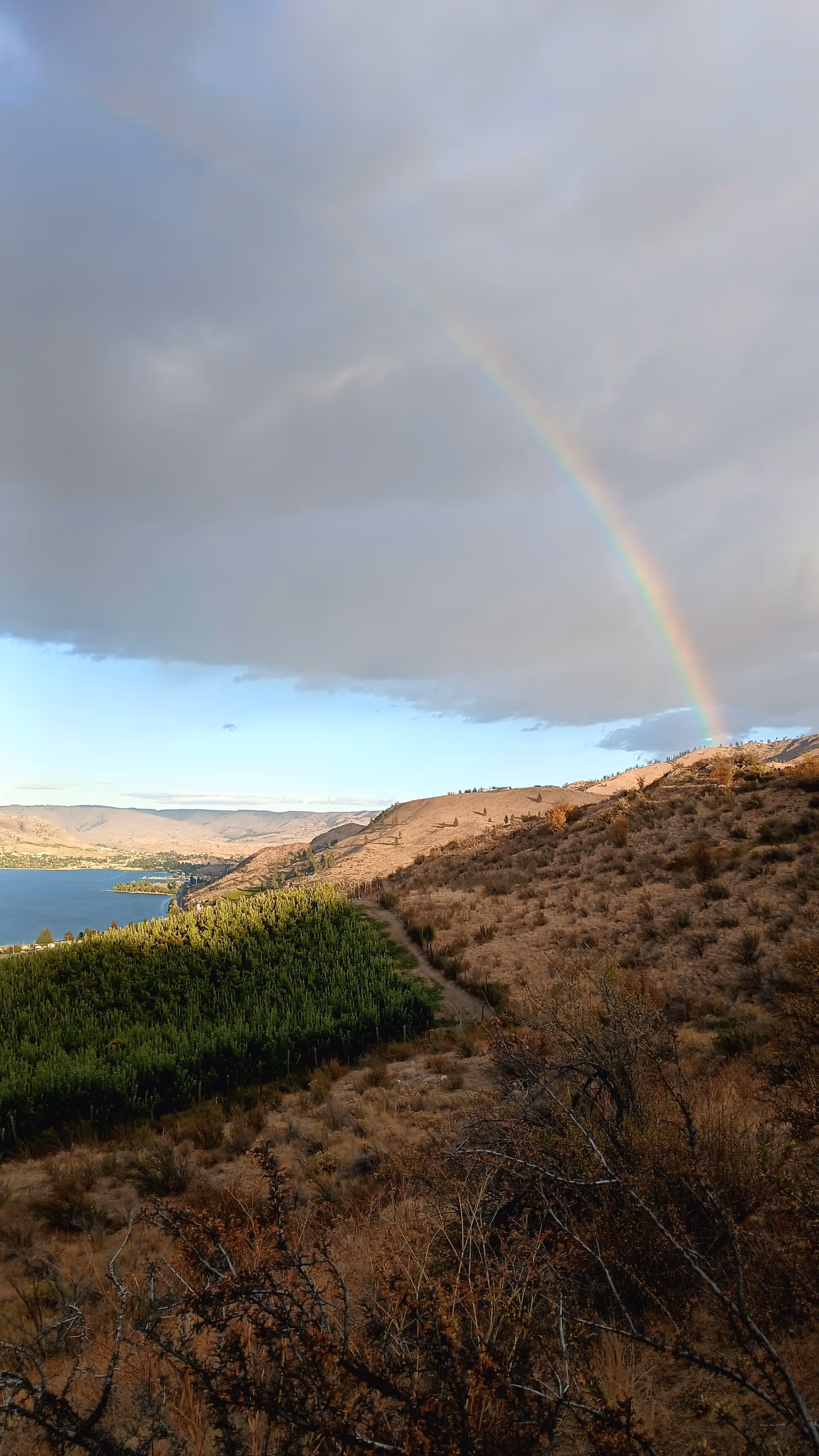 Scenic landscape with a rainbow over rolling hills, a lake, and a dirt path.