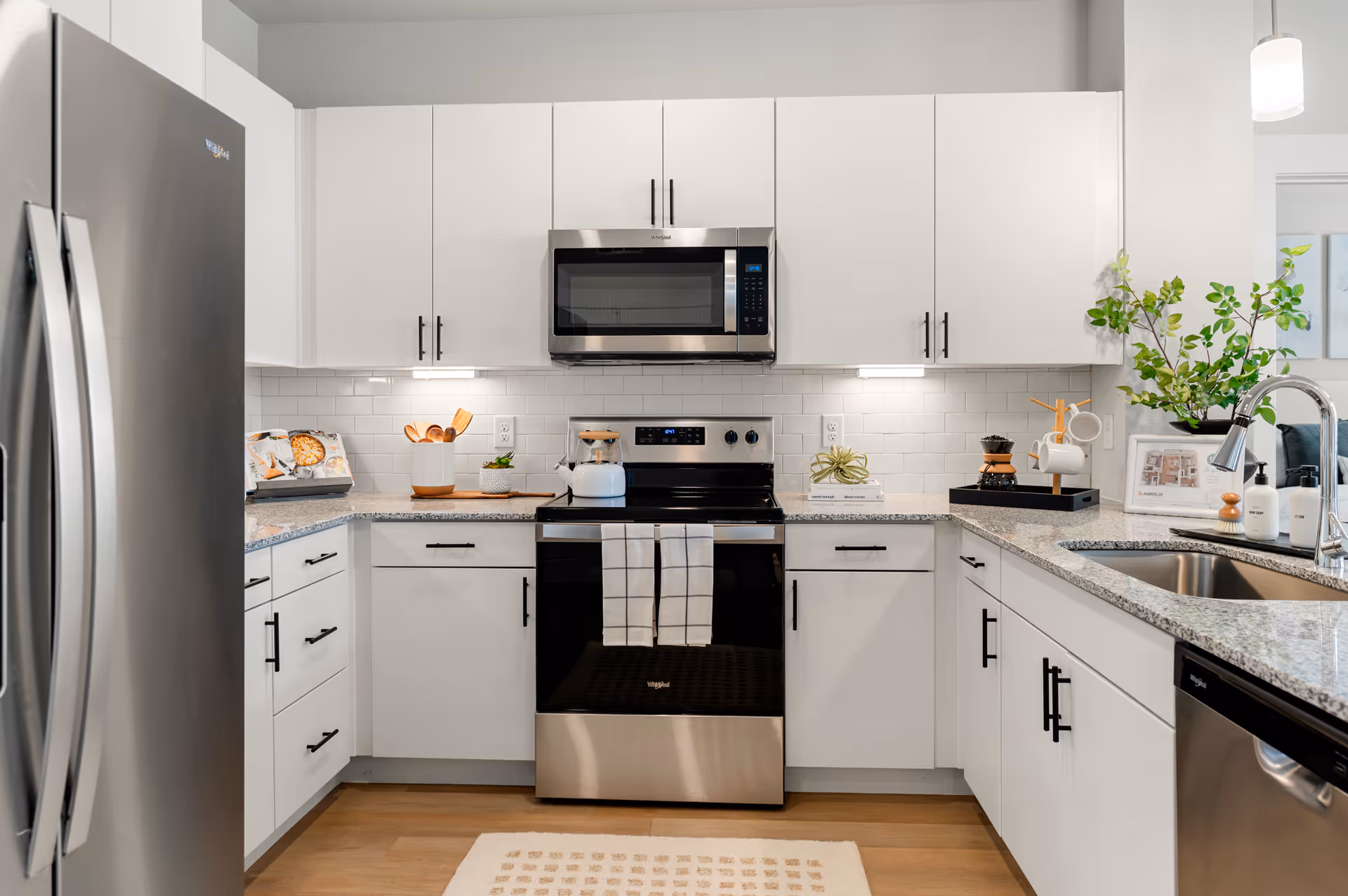 Modern white kitchen with stainless steel appliances, granite countertops, and a leafy plant.