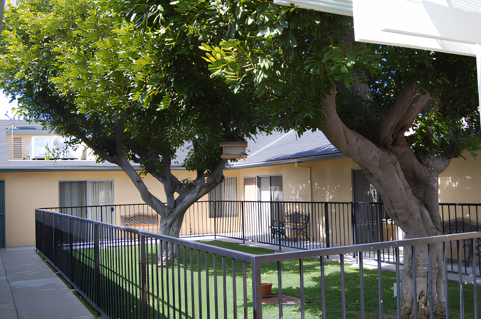 Sunlit courtyard with large trees, black metal railings, benches and doors leading to ground-floor units.