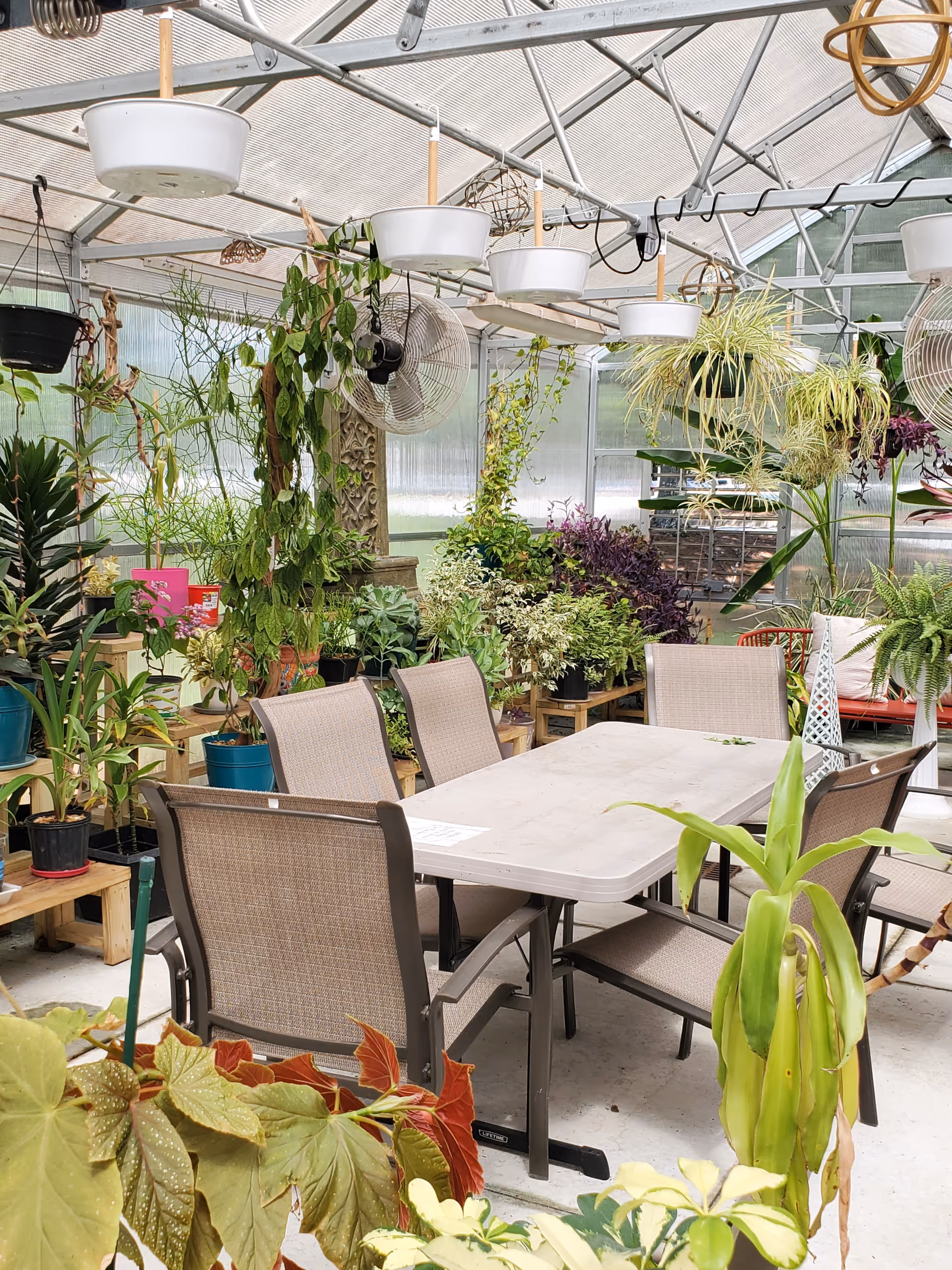Sunroom filled with potted plants, a white table, and beige chairs.