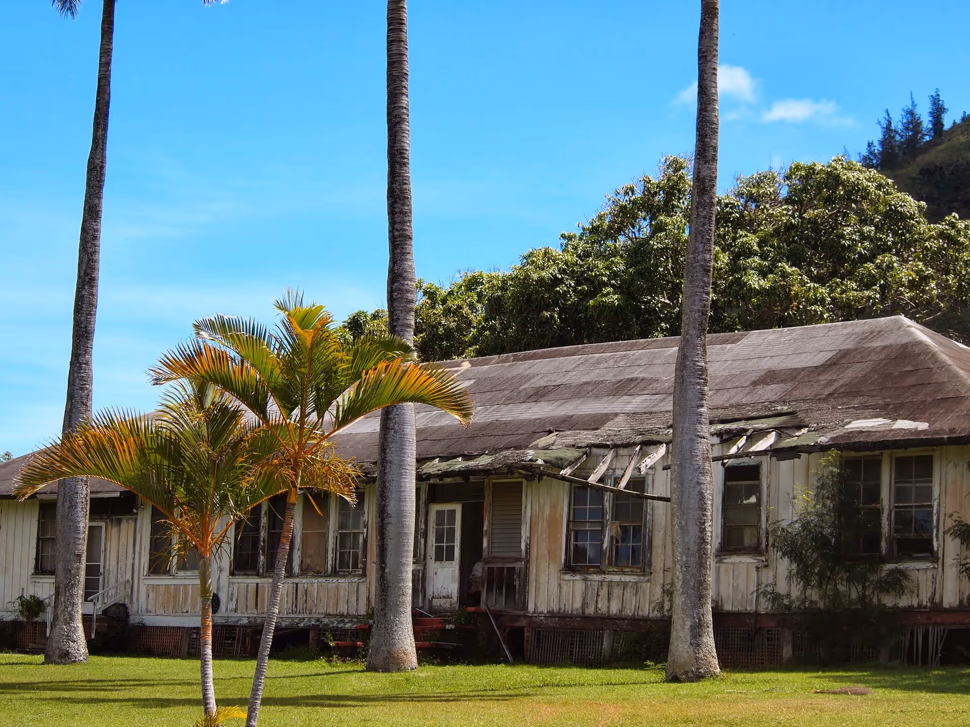 Dilapidated, single-story convalescent home exterior with palm trees and blue sky.