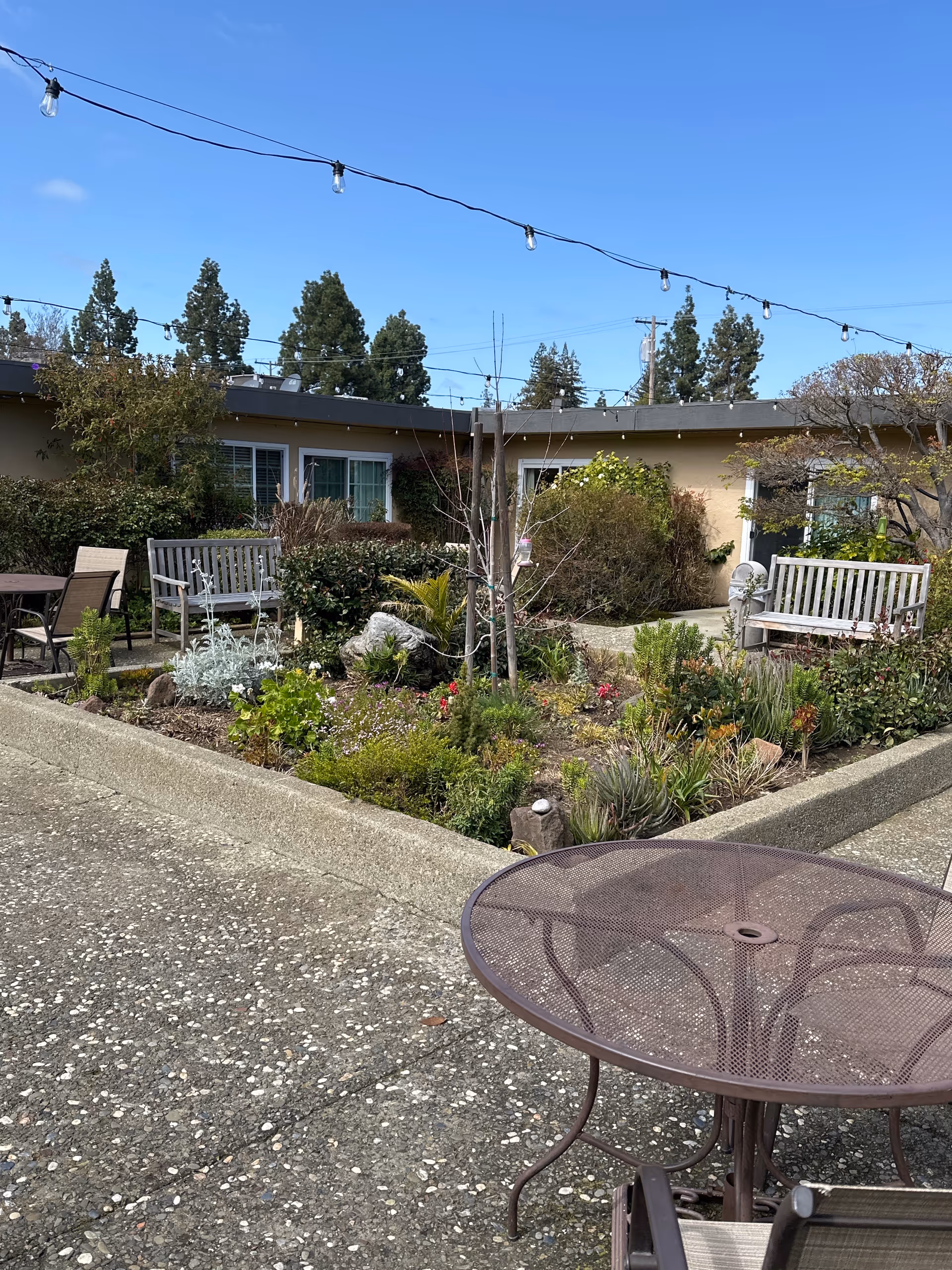Outdoor courtyard with garden beds, benches, string lights, and a metal round table.