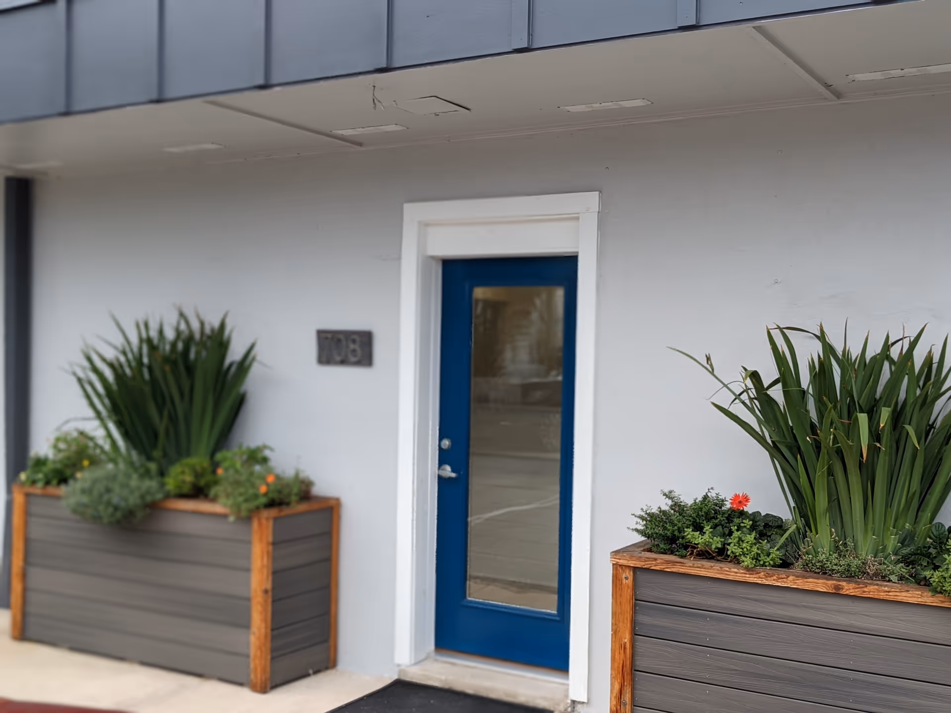 Blue front door centered between two large planters beneath a gray building facade.